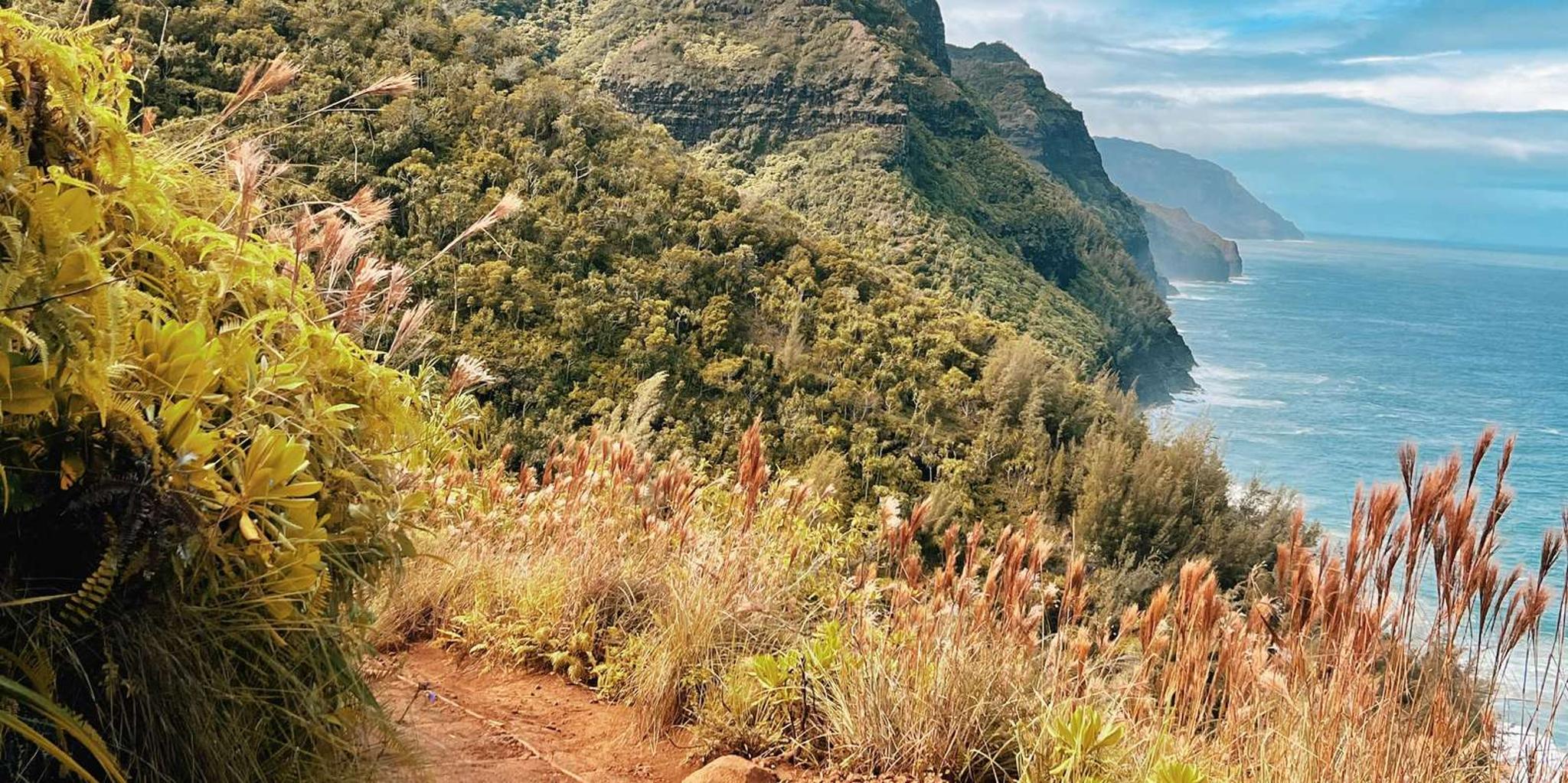 Kauai Scenic Horseback Ride - Image 3