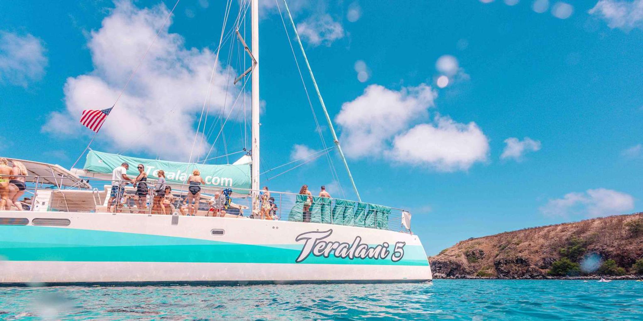 Maui Whale Watching Tour from Ka'anapali Beach - Image 2