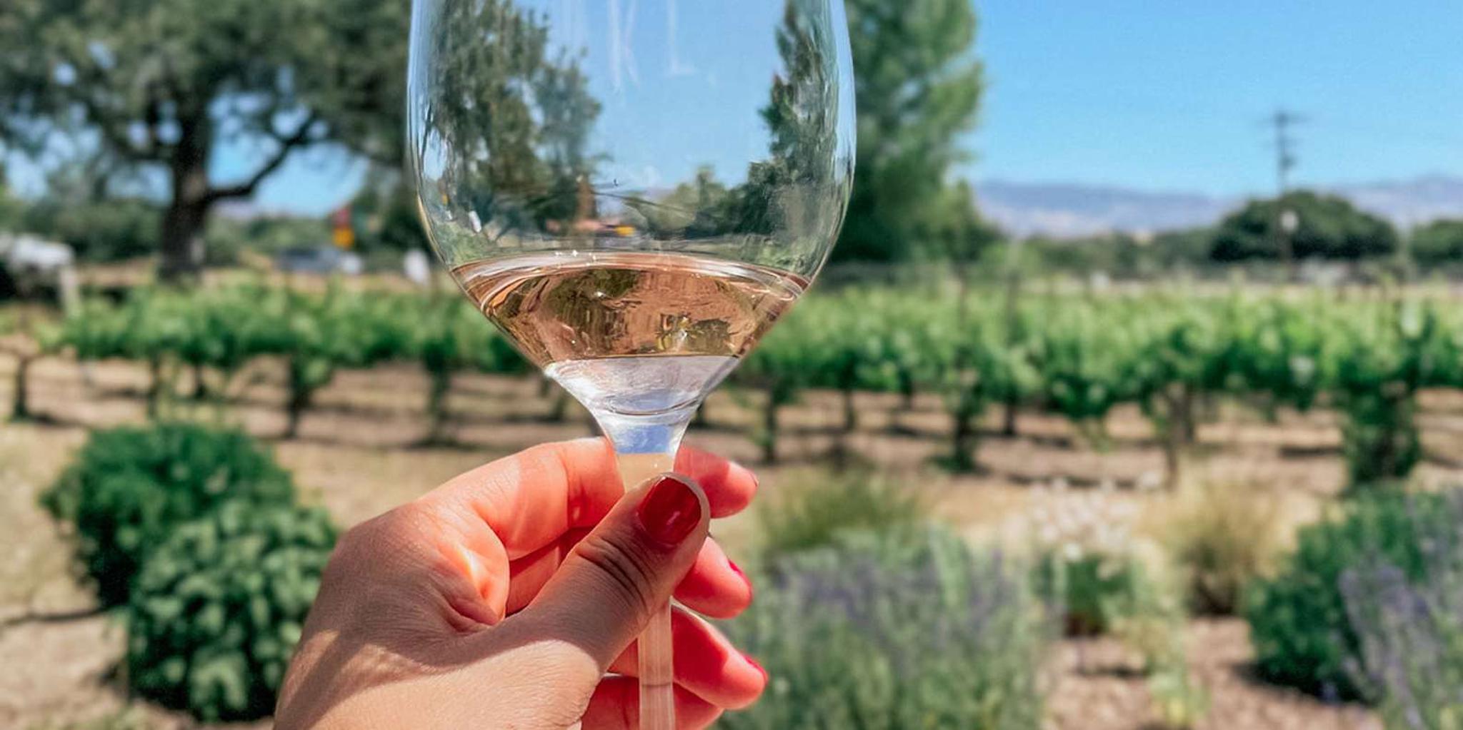 Santa Ynez Private Wine Tour - Image 2