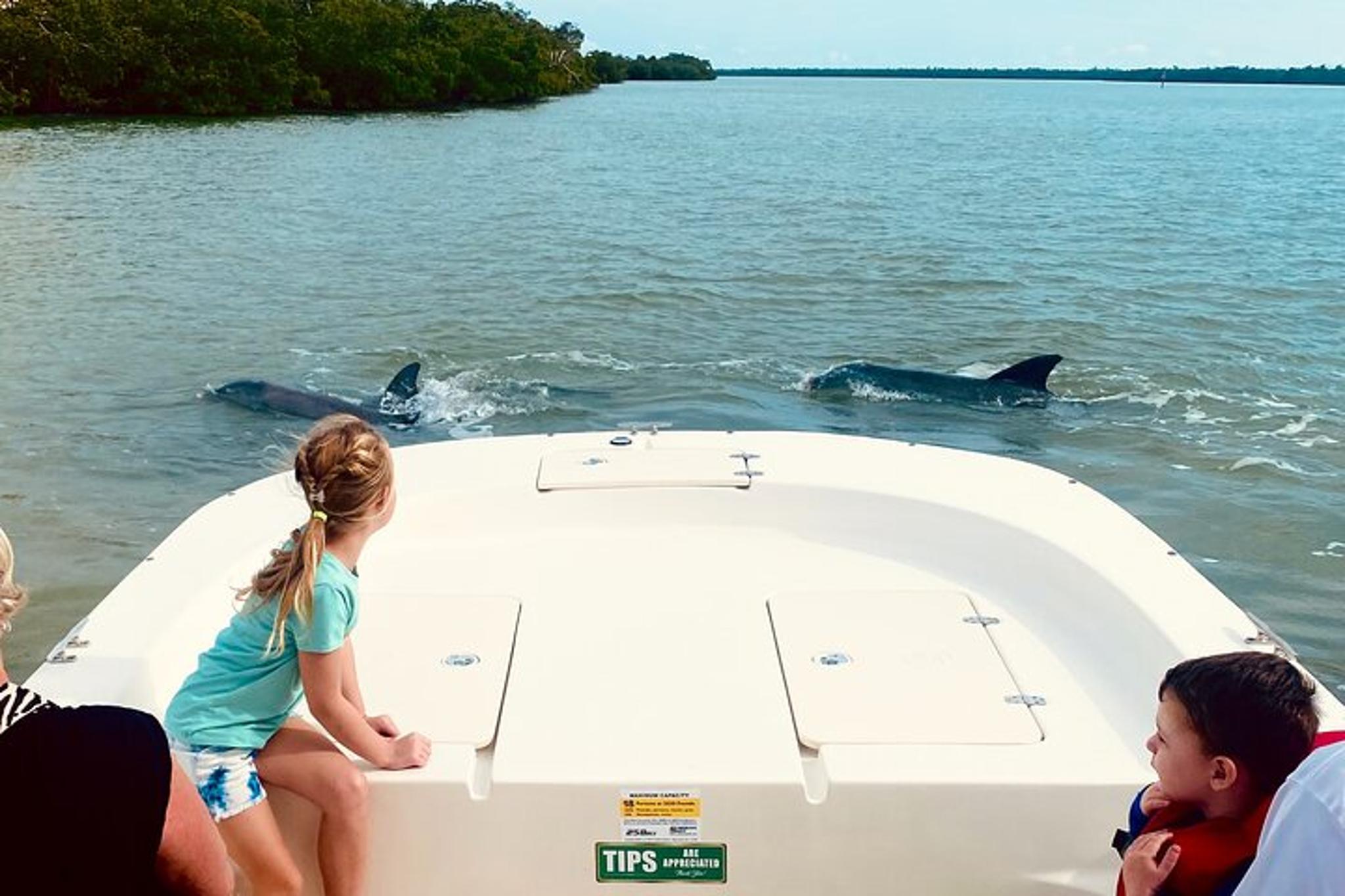 Marco Island Sightseeing & Dolphin Tour - Image 6