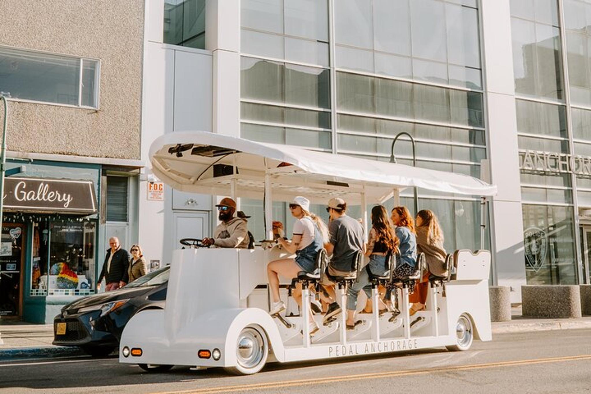 Anchorage Electric Vehicle Tour
