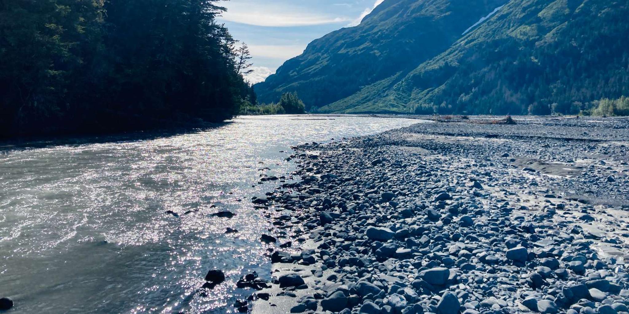 Seward Resurrection River Rafting Tour - Image 4