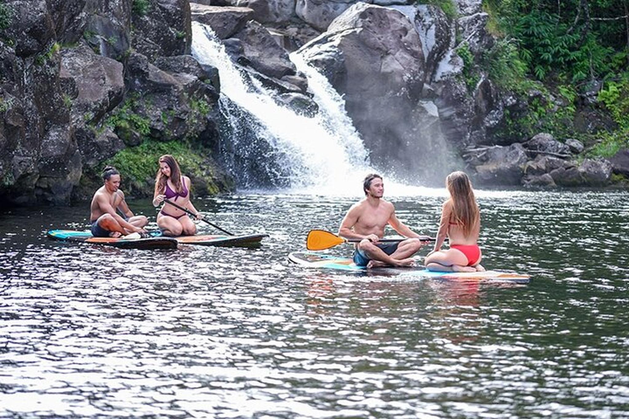 Big Island Zipline and Waterfall Swim 4 hr - Image 5