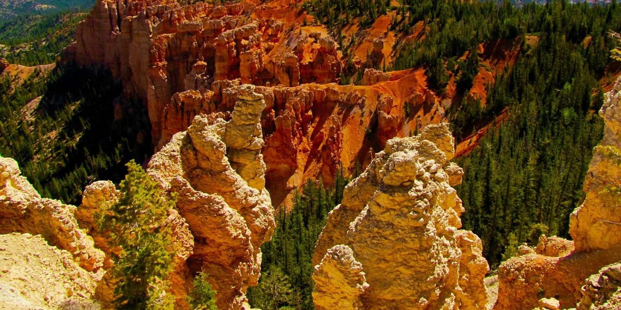 Las Vegas to Bryce and Zion Shuttle - Image 2