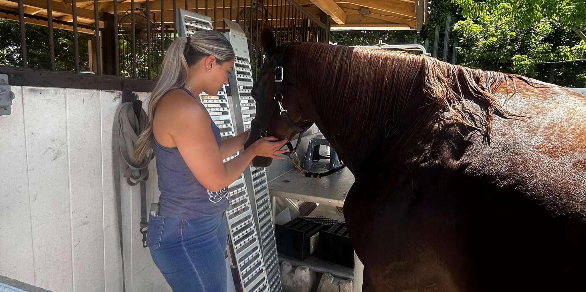 Miami Horseback Riding Tour with Instructor 1 hr - Image 5