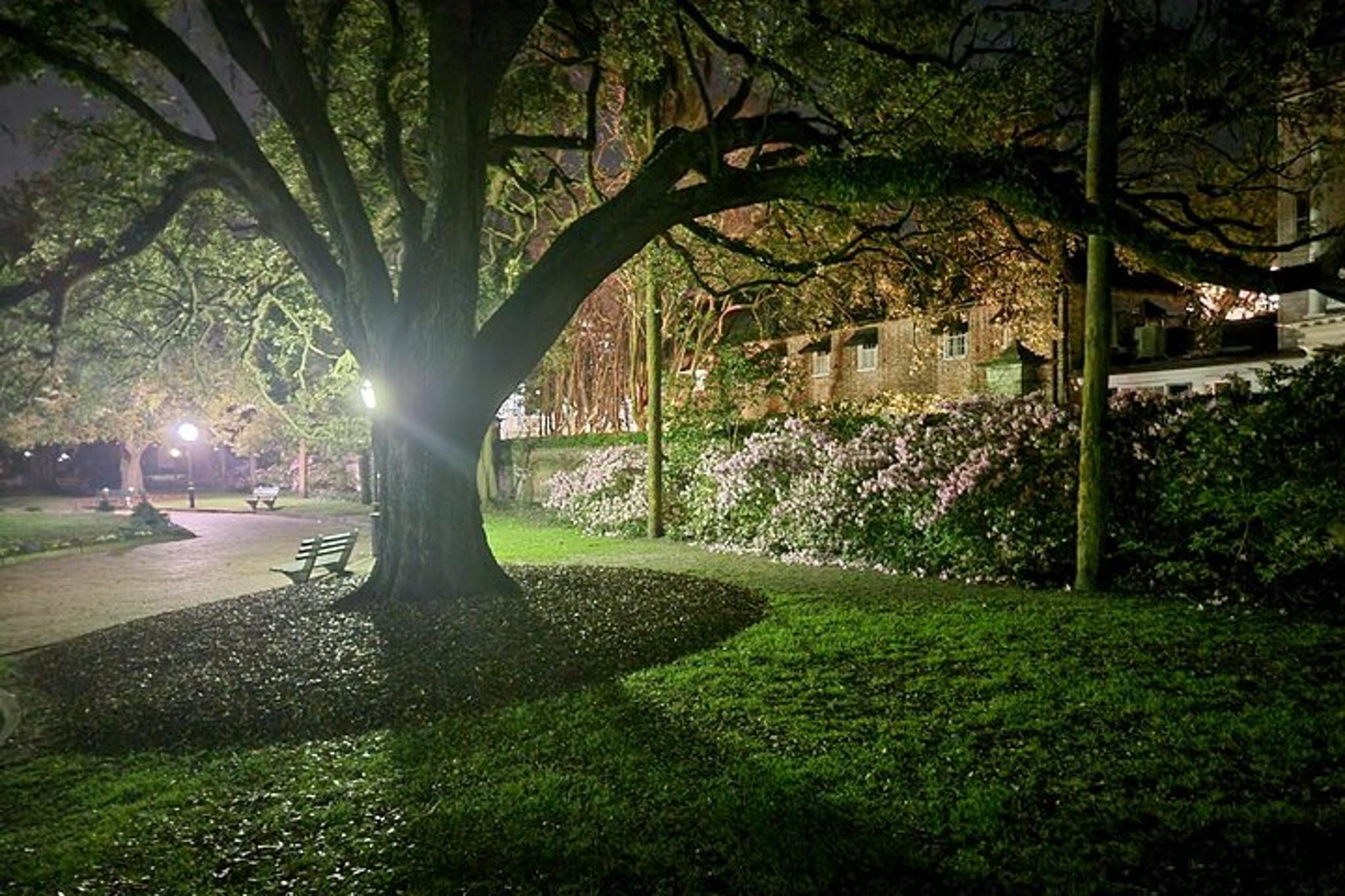 Charleston Ghost Tour: Haunts, Pirates, and Death - Image 6