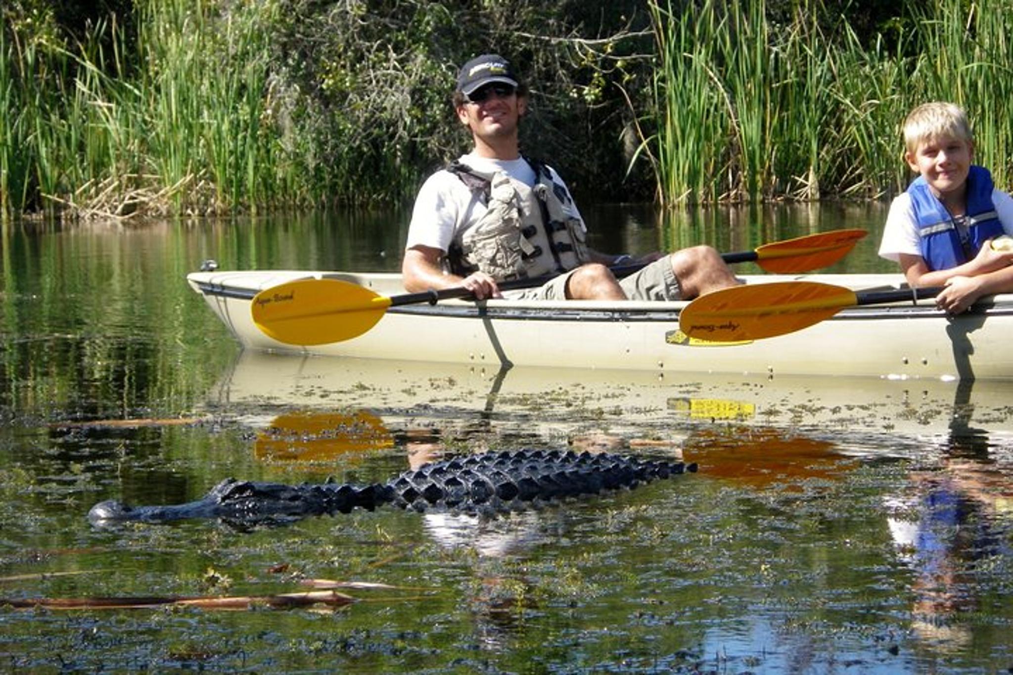 Everglades Mangrove Tunnel Kayak Eco Tour 3 hr