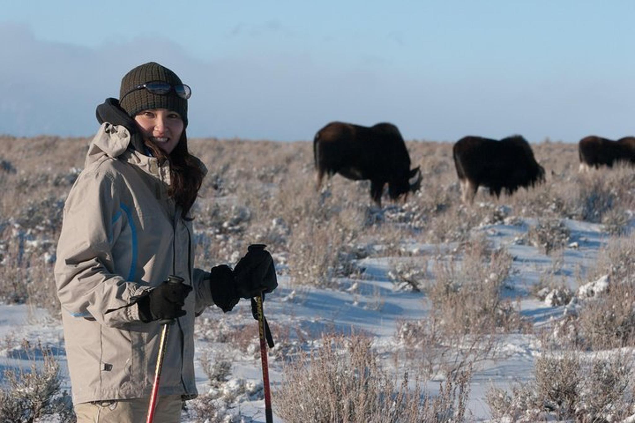 Jackson Hole Wildlife Safari - Image 3