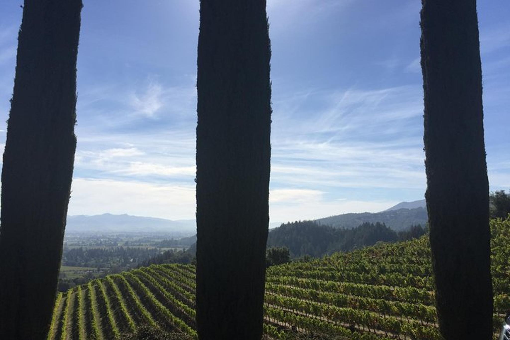 San Francisco Napa Wine Tour Sedan 8 hr - Image 6