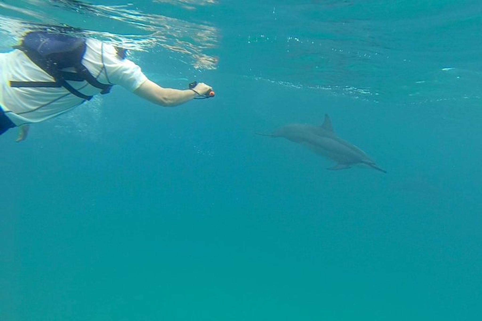 Kauai Sea Kayaking Na Pali Coast 10-Mile Tour - Image 4