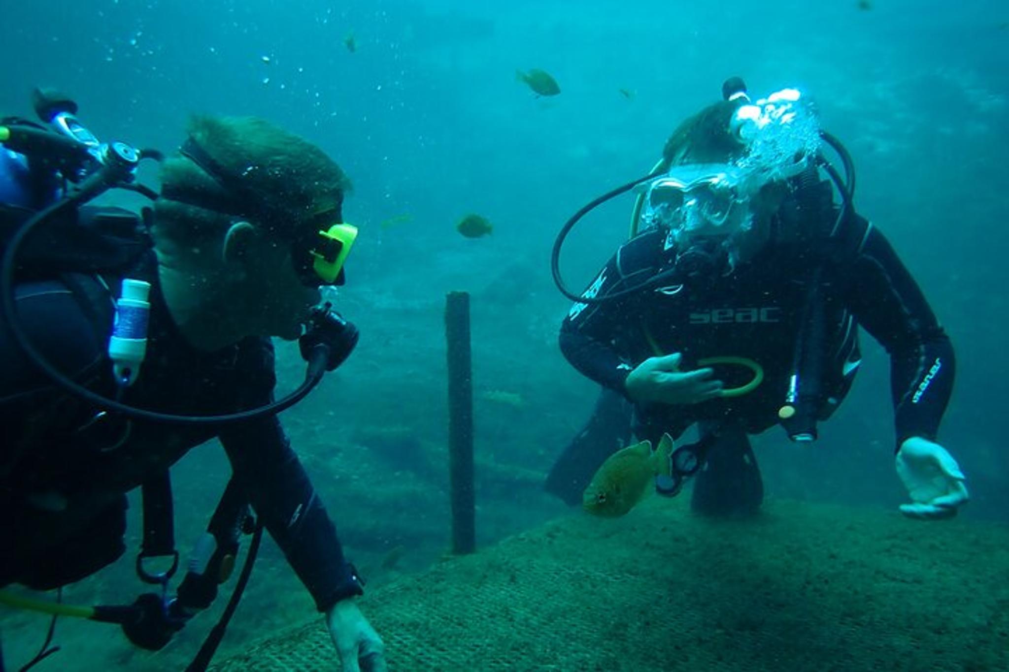 Blue Grotto Scuba Dive in Kings Bay - Image 2