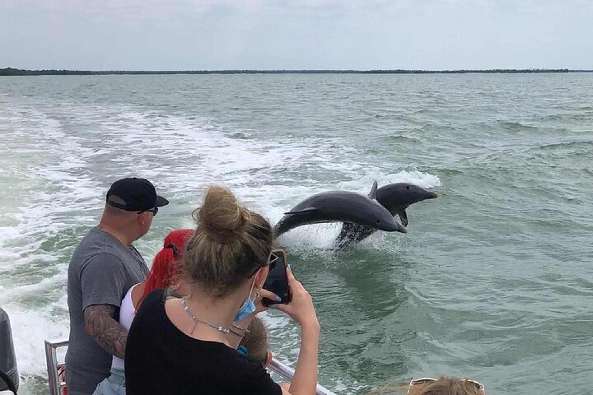 Marco Island Dolphin, Shelling, and Birding Tour - Image 5