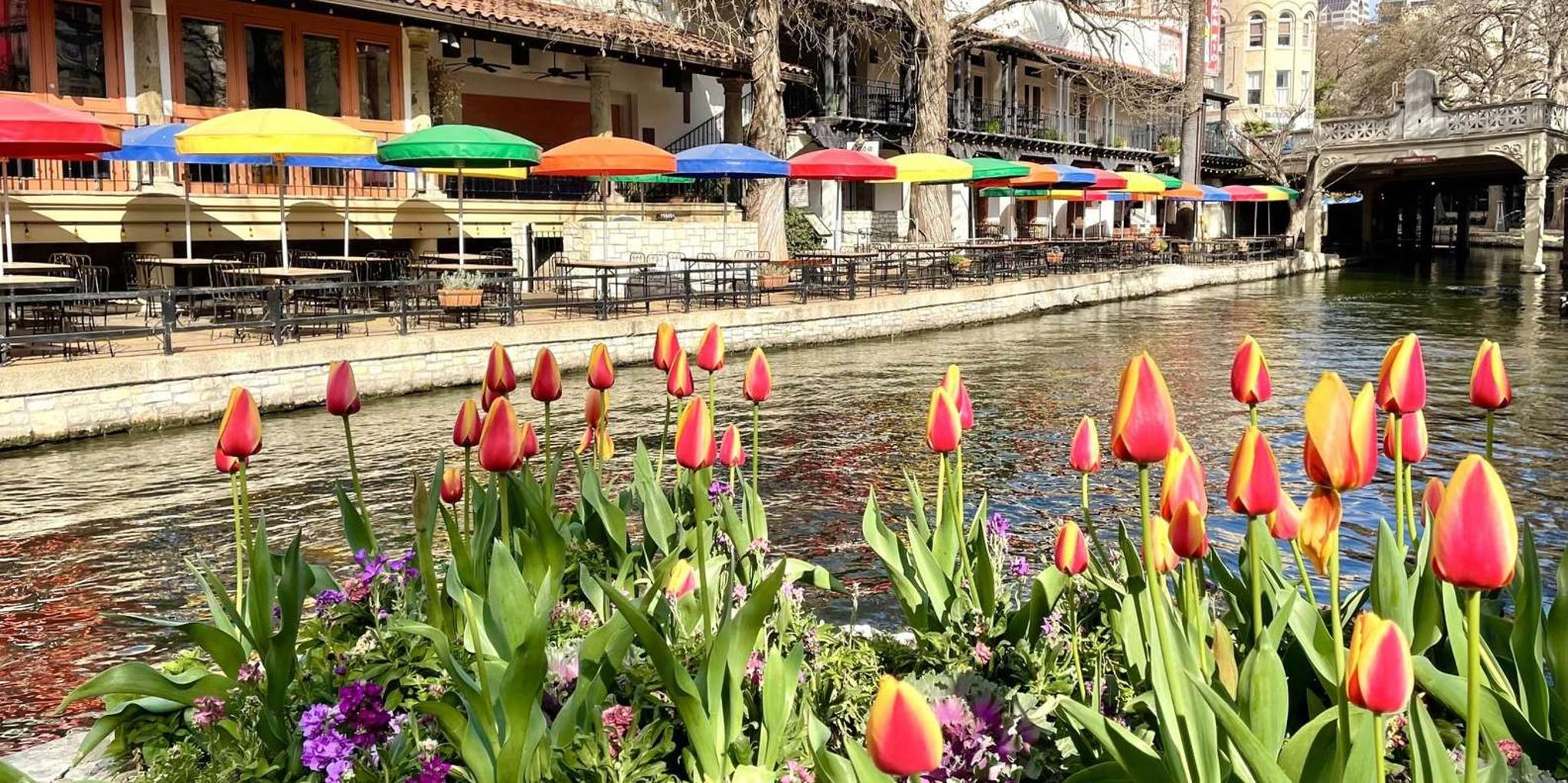 San Antonio Riverwalk and Downtown Walking Tour - Image 2