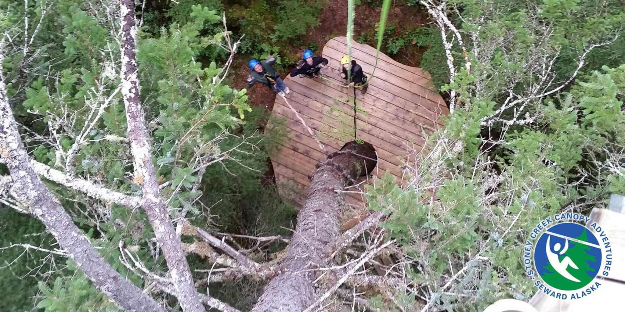 Seward Canopy Zipline Adventure - Image 5
