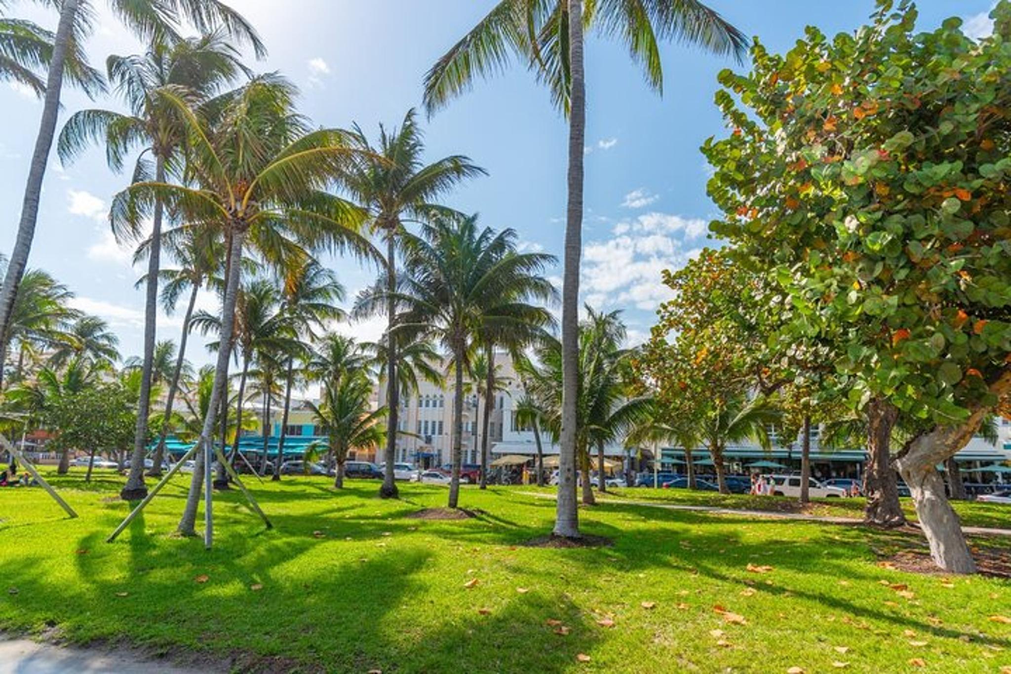 Miami Beach Private Walking Tour - Image 3
