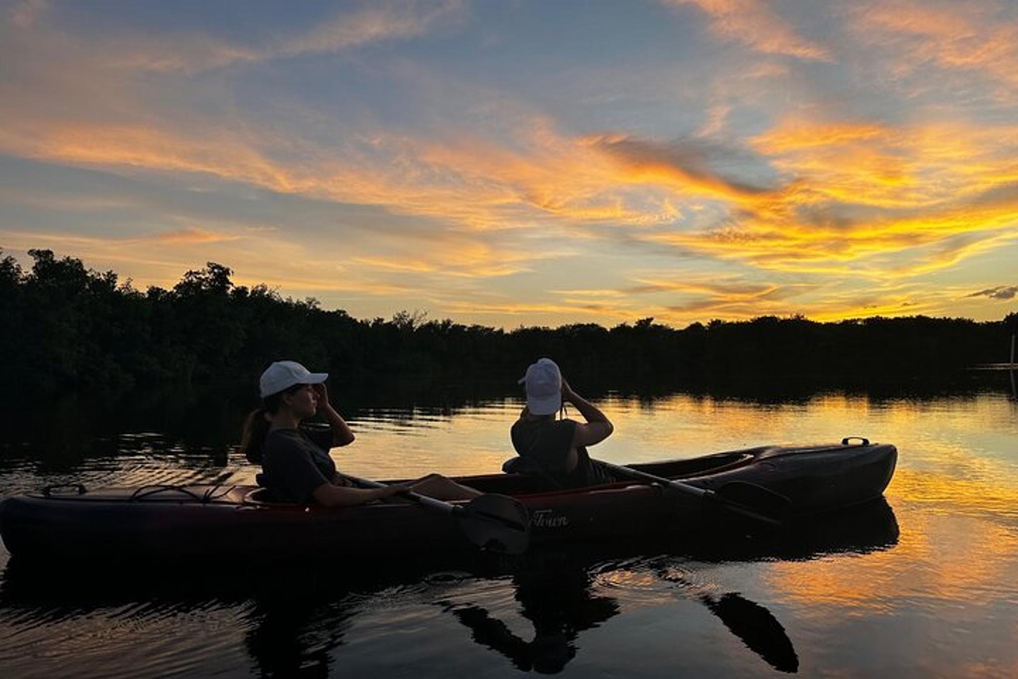 Everglades Kayak Tour at Sunset - Image 4