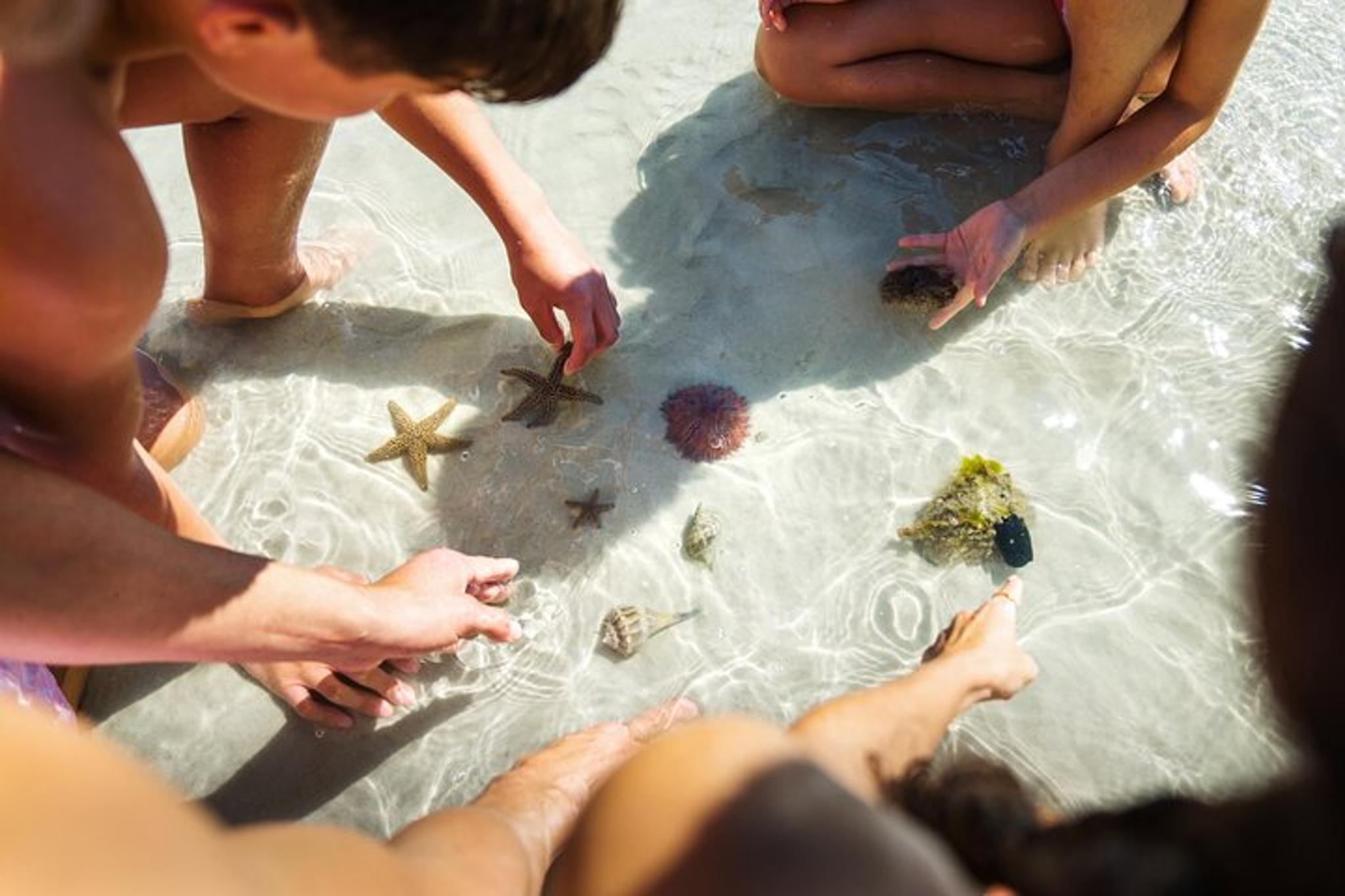 Boca Grande Kayaking Tour - Image 5