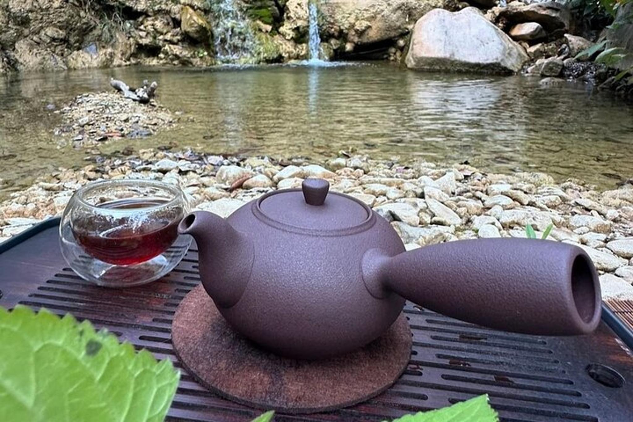 Santa Barbara Trail Hike and Tea Ceremony - Image 3