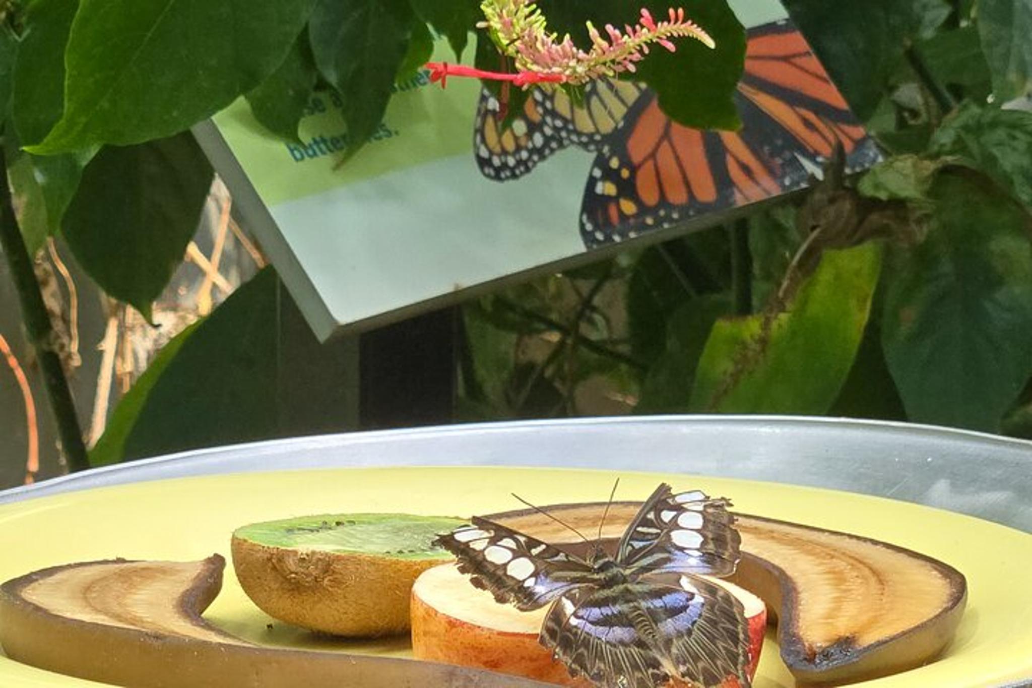 Chicago Nature Museum & Zoo Walking Tour - Image 2