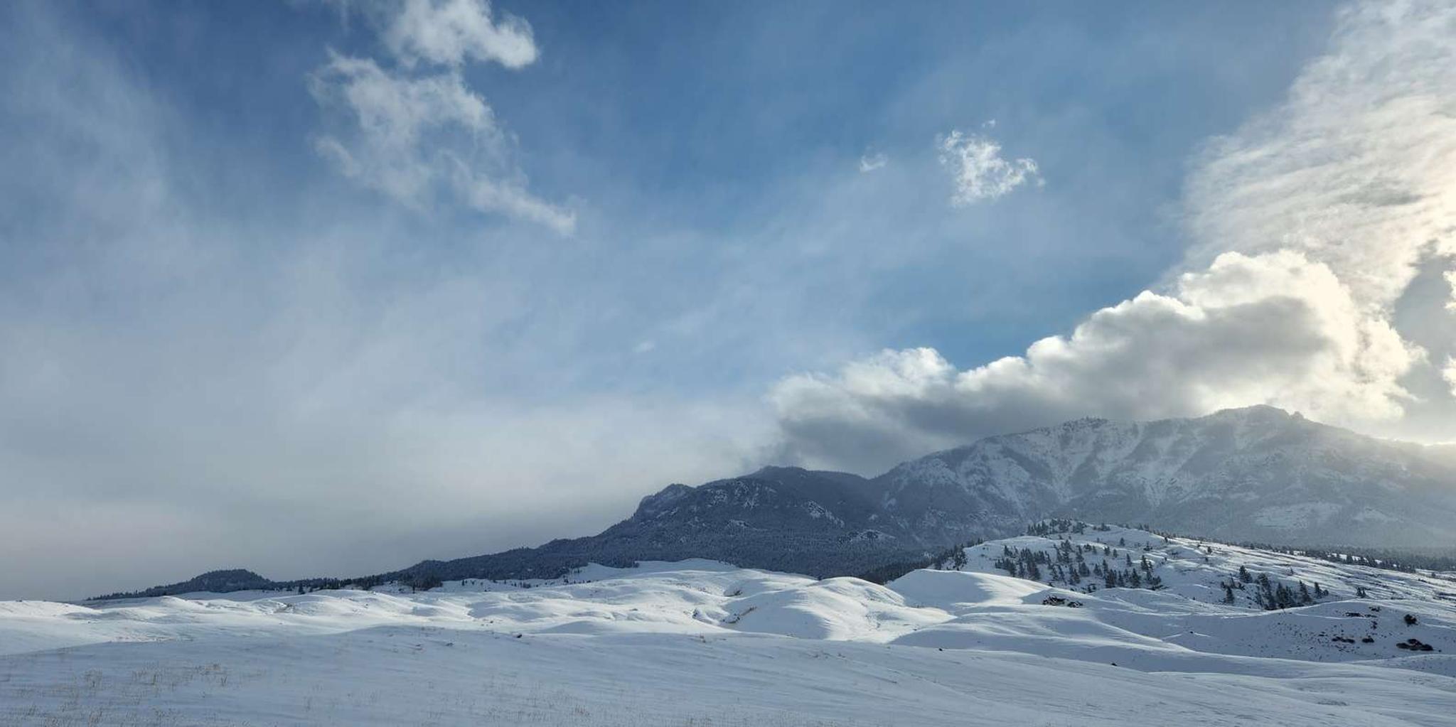 Gardiner Yellowstone National Park Snowshoe Tour 5 hr - Image 4