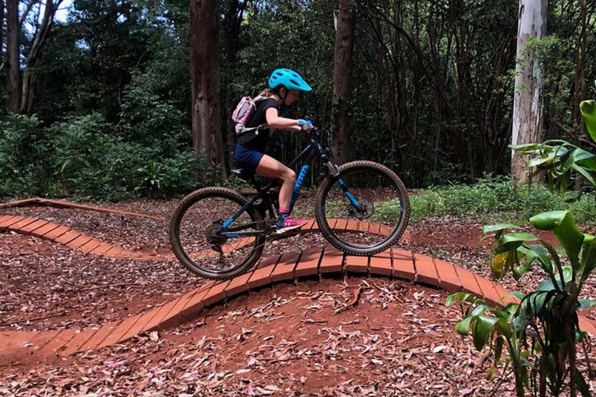 Maui Mountain Bike Tour on Haleakala Trails - Image 5