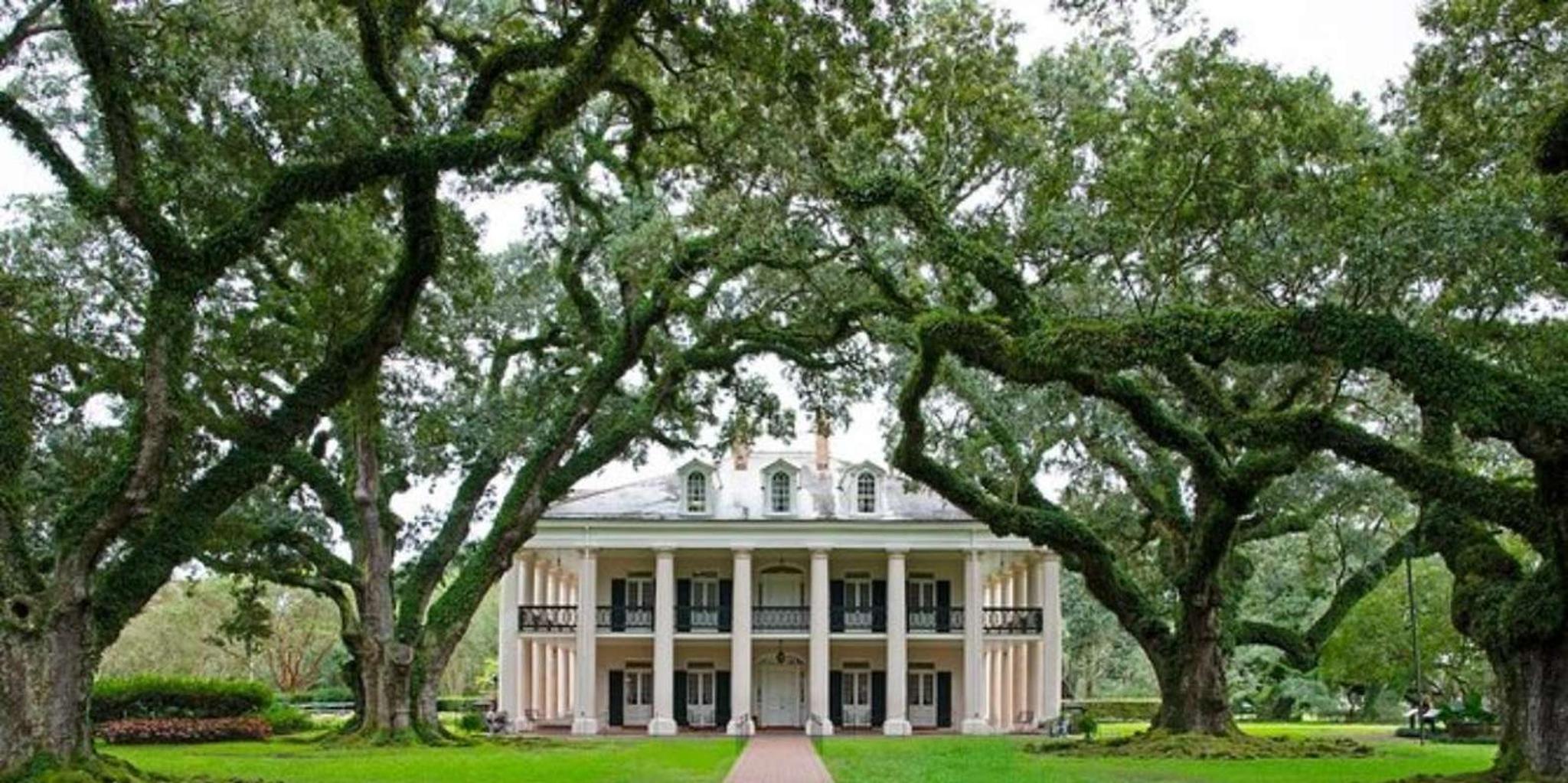 New Orleans Oak Alley and Laura Plantation Tour - Image 5