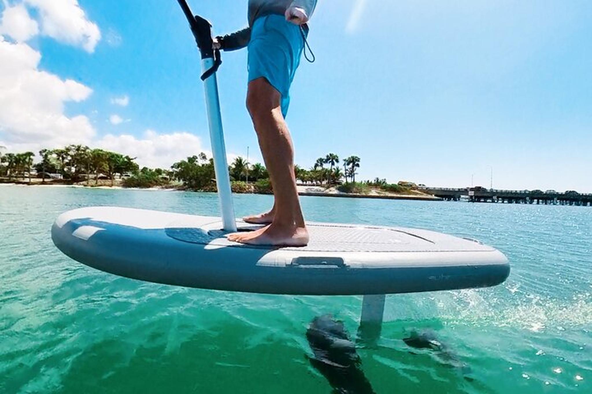 Sarasota Efoil Ocean Adventure - Image 4