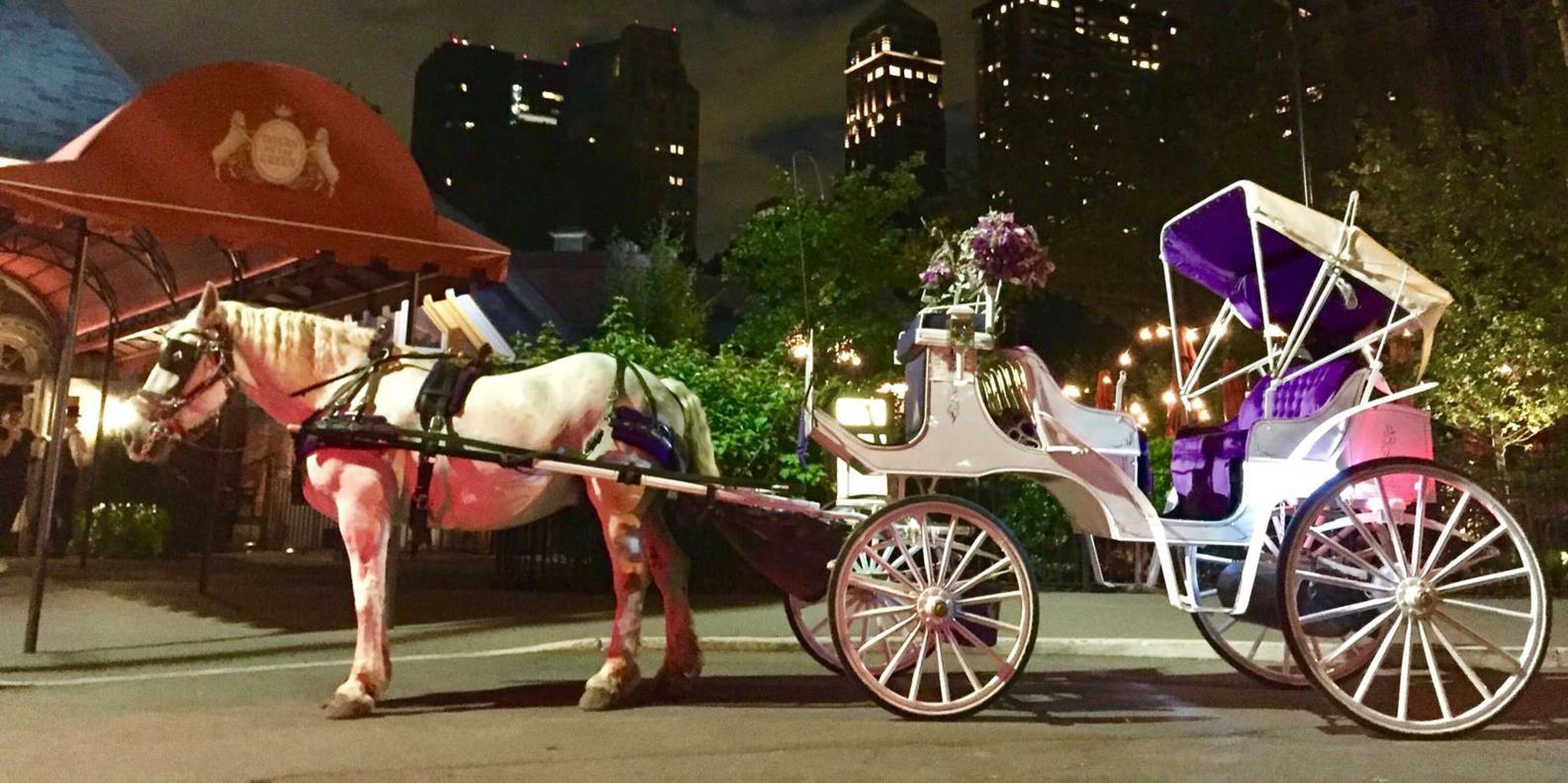 New York Central Park Carriage Ride - Image 3