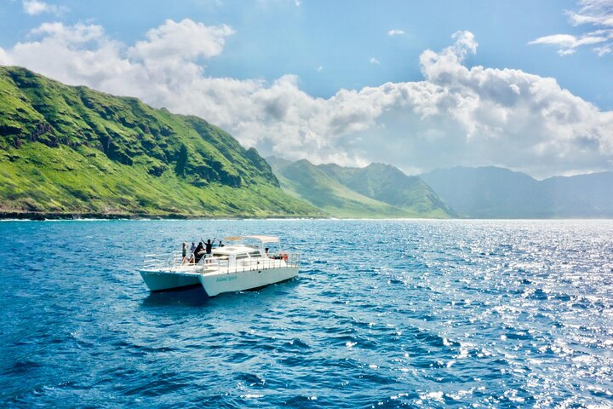 Oahu Swim with Dolphins Tour 4 hr - Image 3