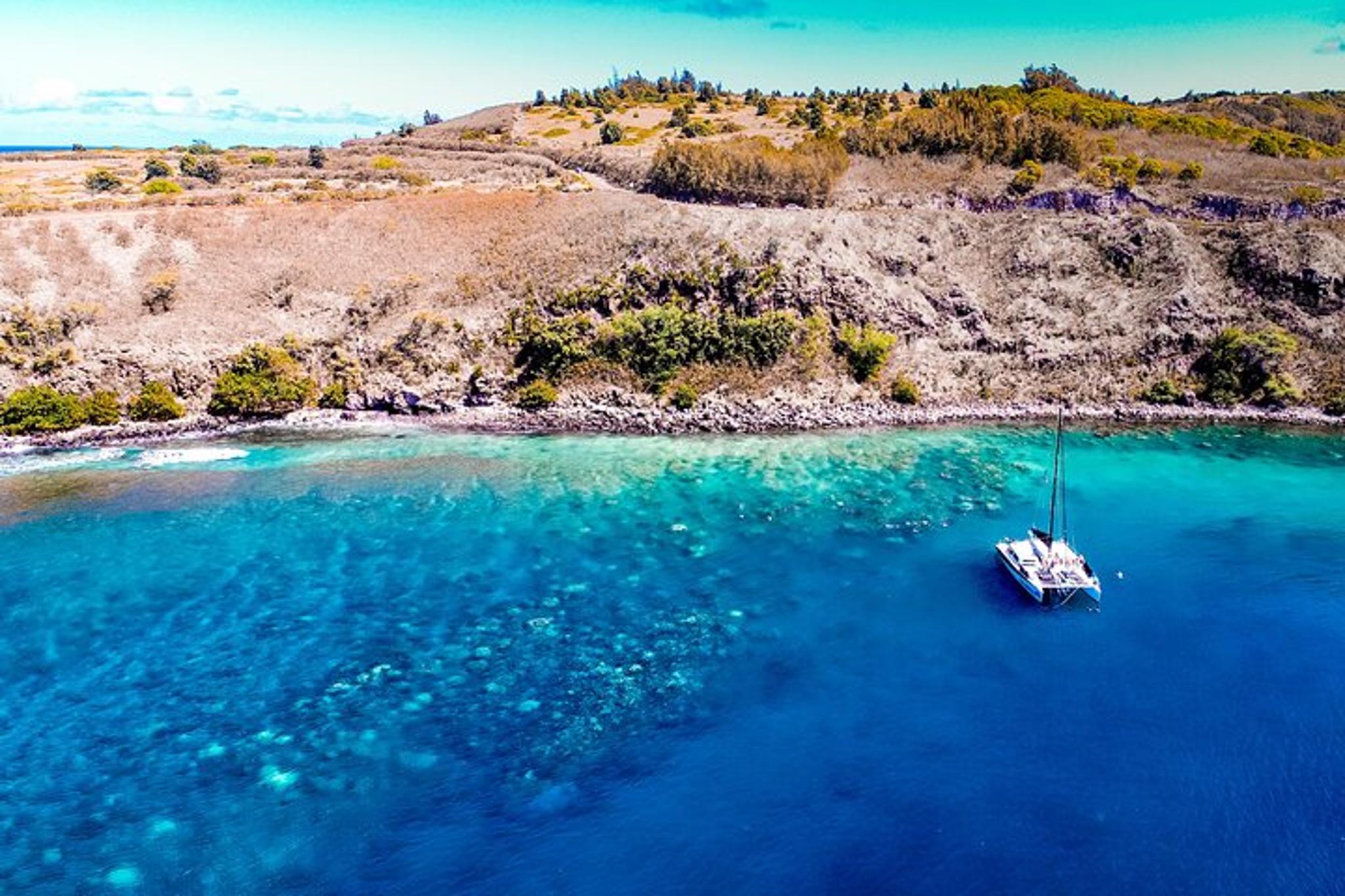 Ka'anapali Beach Snorkel Adventure - Image 4