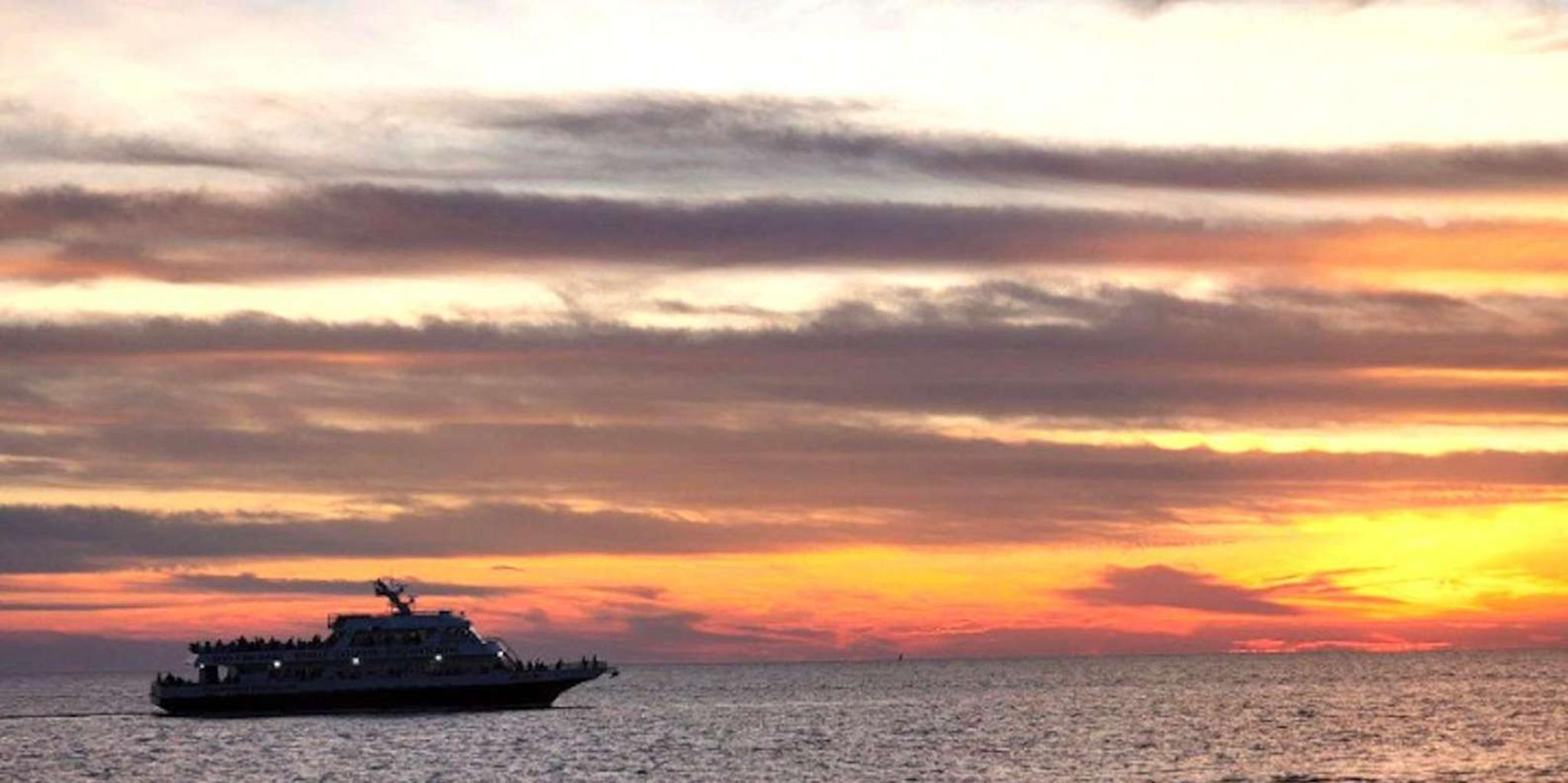 Cape May Dinner Cruise with Dolphin Watching - Image 5