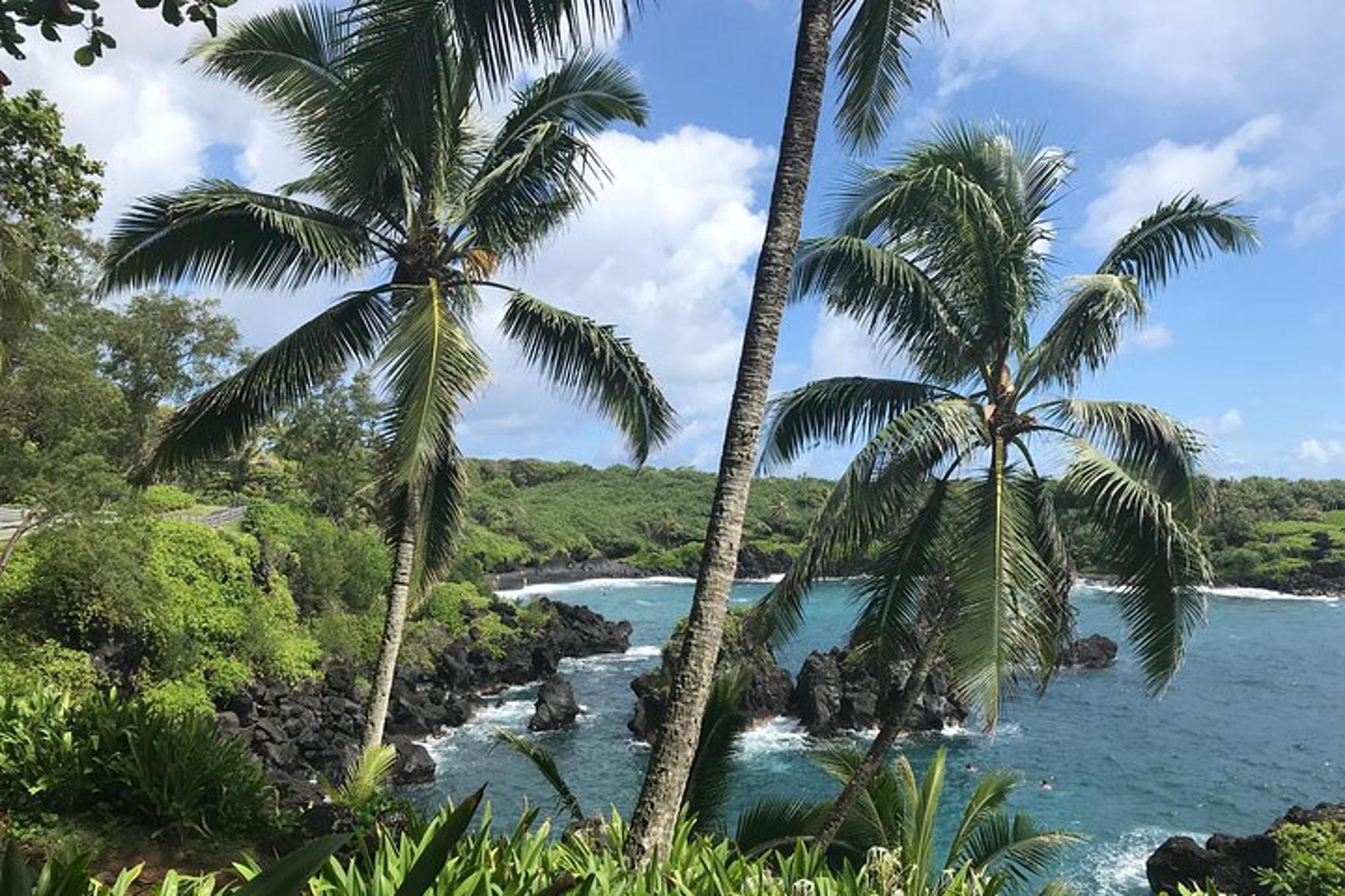 Maui Road to Hana Private Tour 9 hr - Image 2