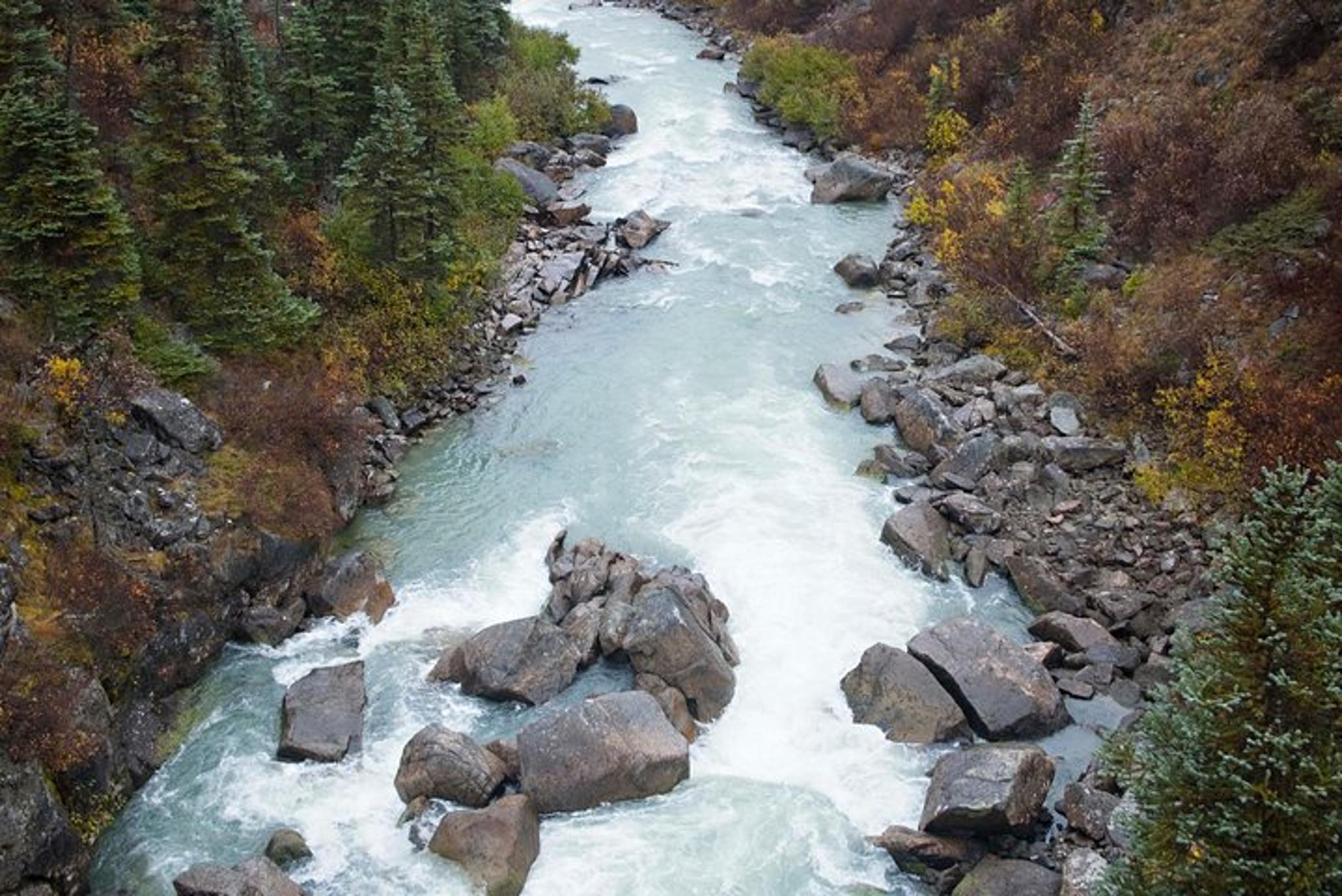 Skagway Yukon Suspension Bridge Tour - Image 5