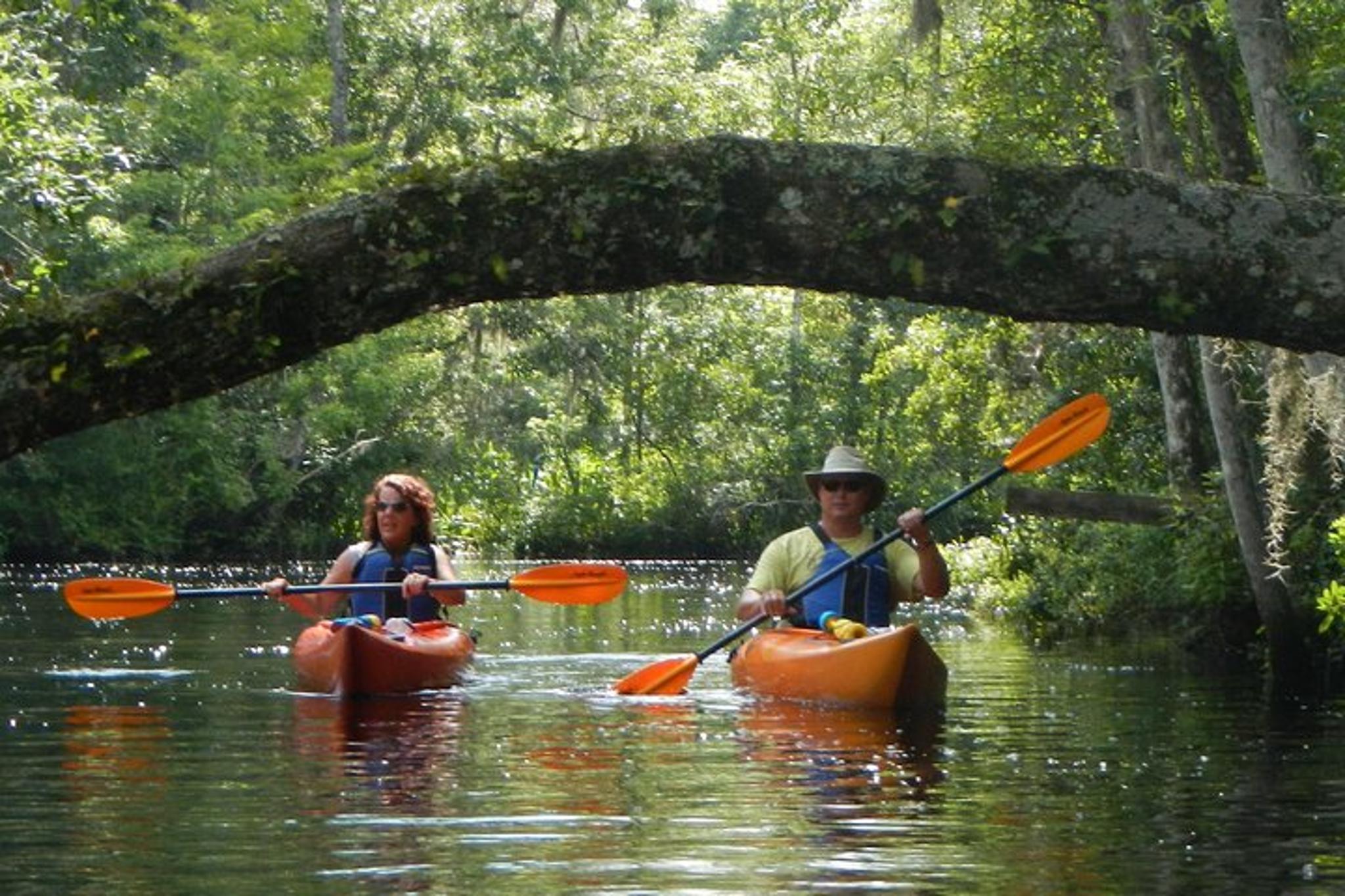 Fernandina Kayaking Tour on Lofton Creek