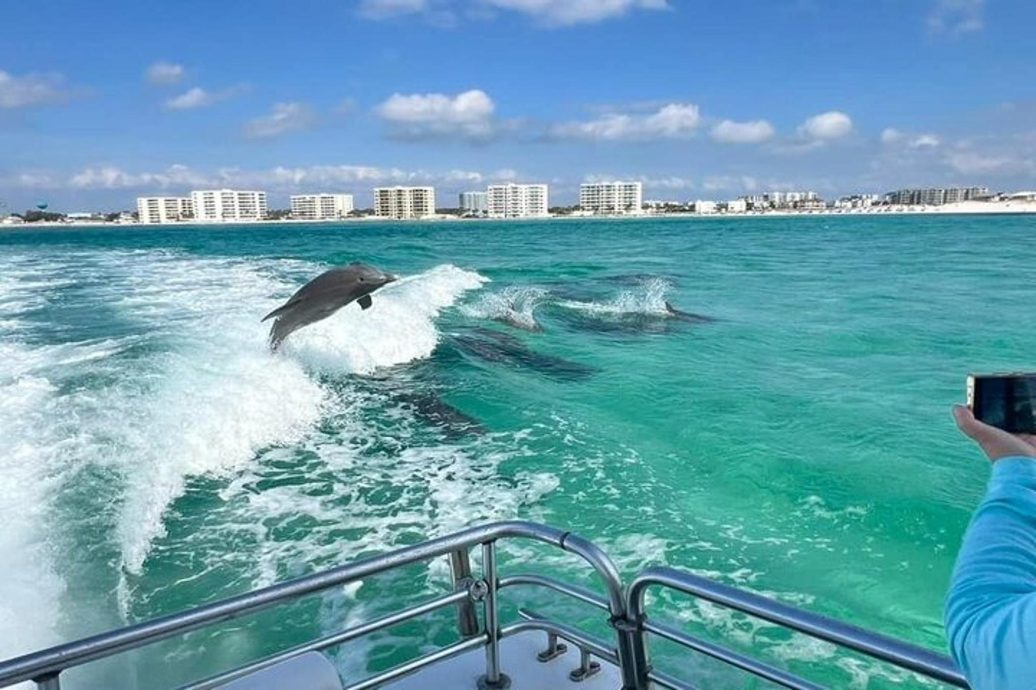 Destin Dolphin and Sunset Cruise 90 min - Image 6