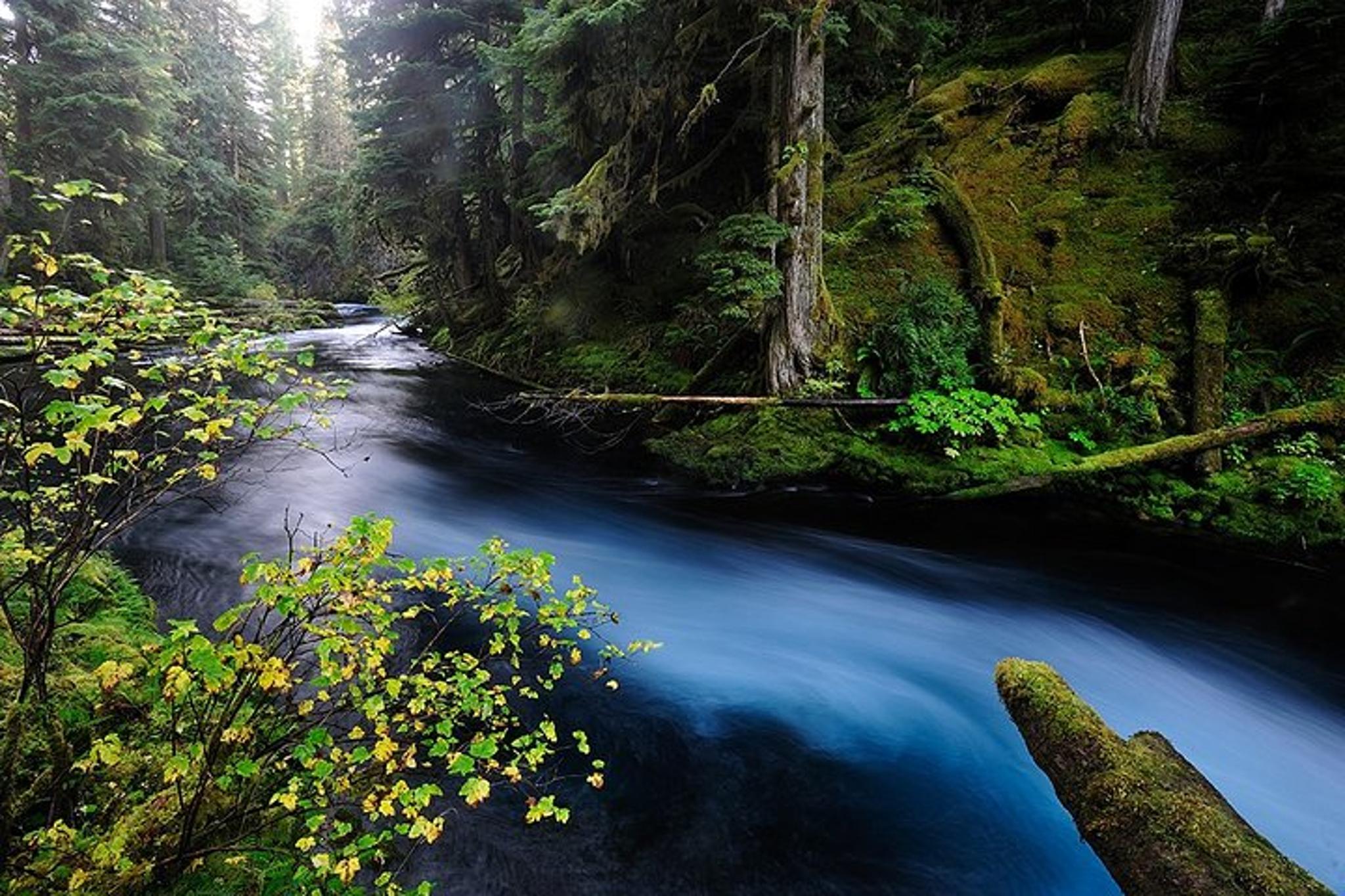 Bend Photo Tour with Local Photographer 7.5 hr - Image 5
