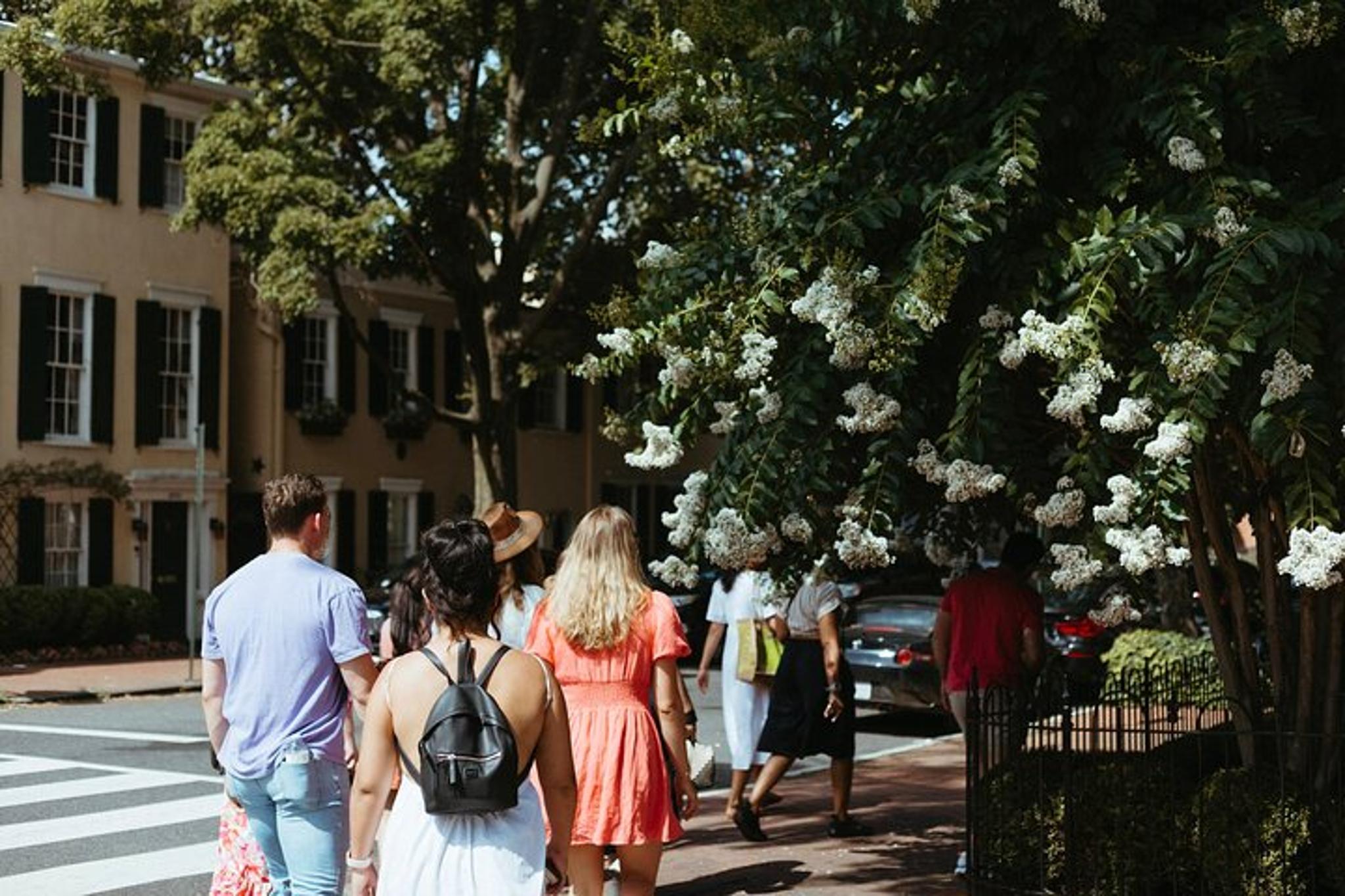 Washington DC Georgetown Historic Walking Tour - Image 3