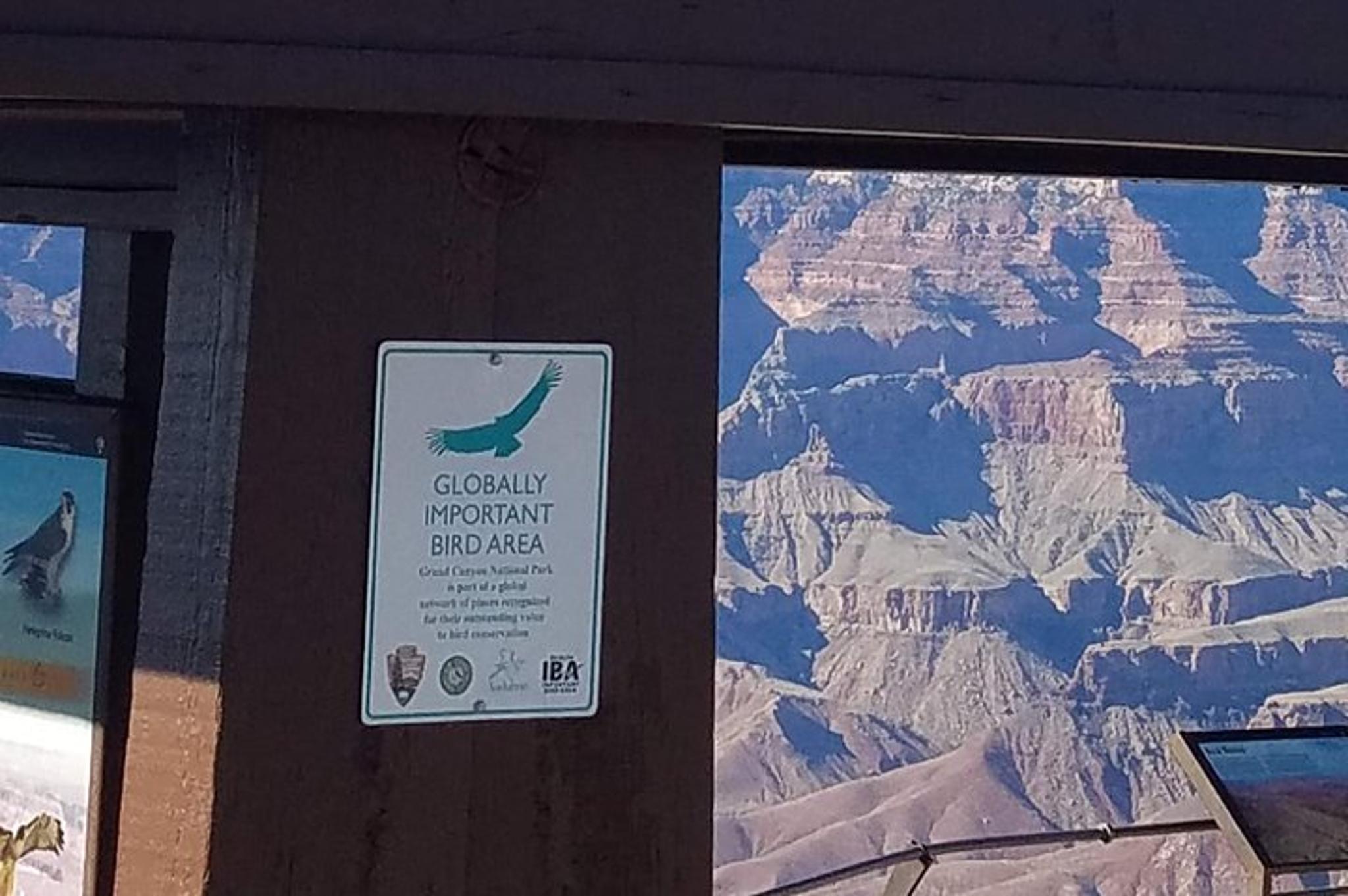 Williams Grand Canyon Tour - Image 4