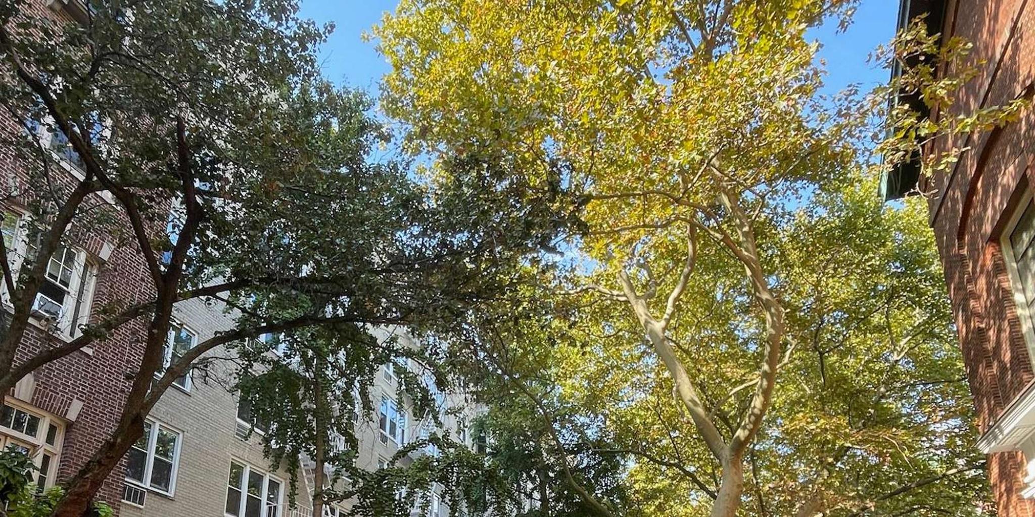 Brooklyn Food Tour with Brooklyn Bridge Walk - Image 6