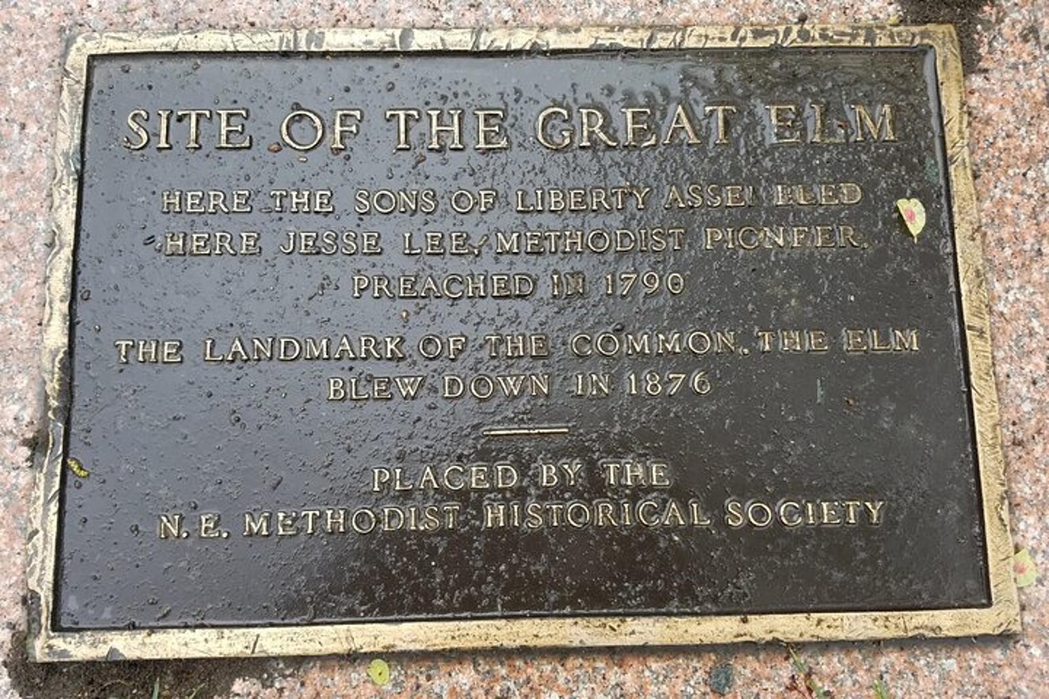 Boston Photography Tour in Common, Beacon Hill & Public Garden - Image 3