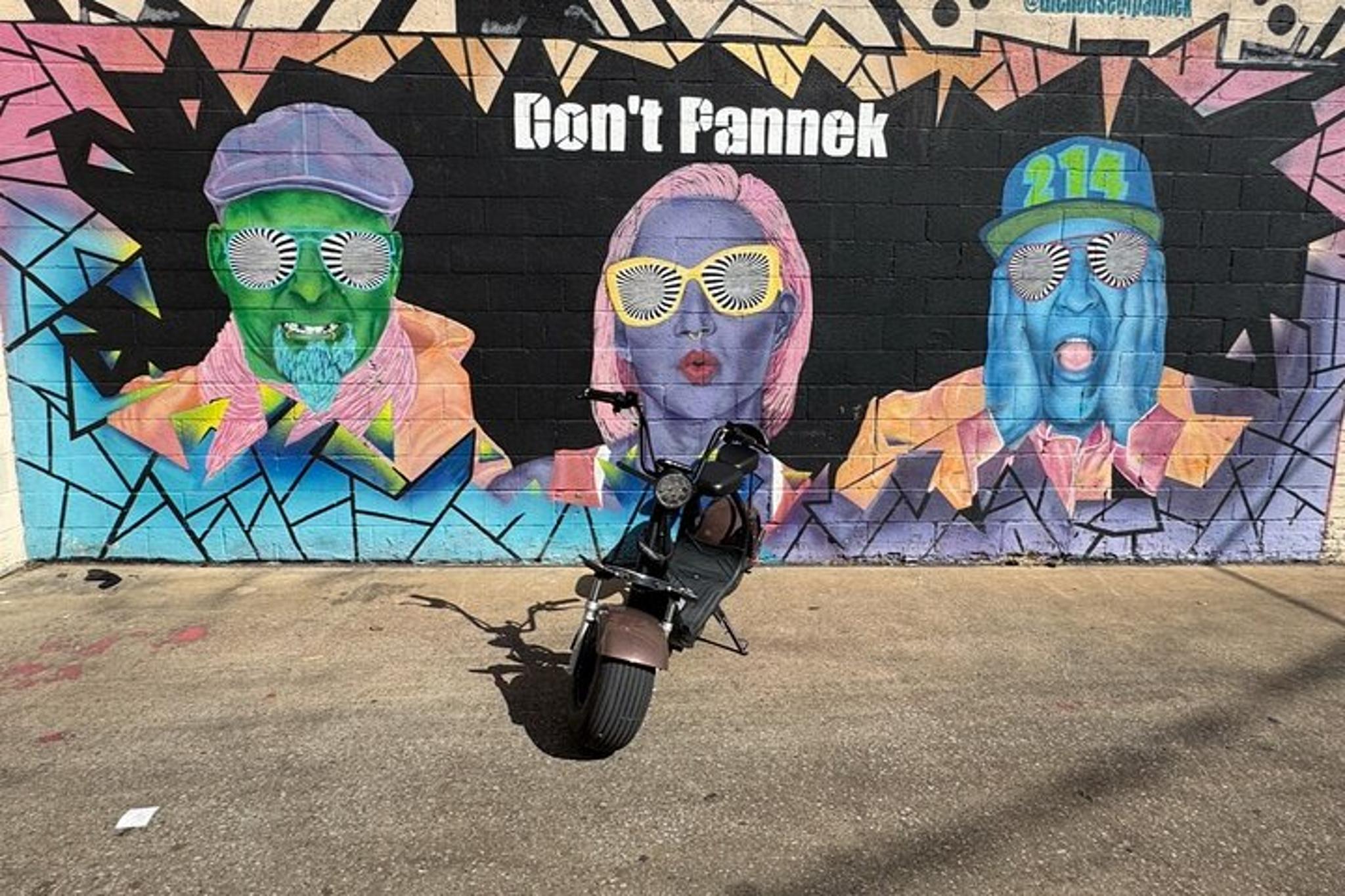 Dallas Fat Tire 2 Seater Rental - Image 4