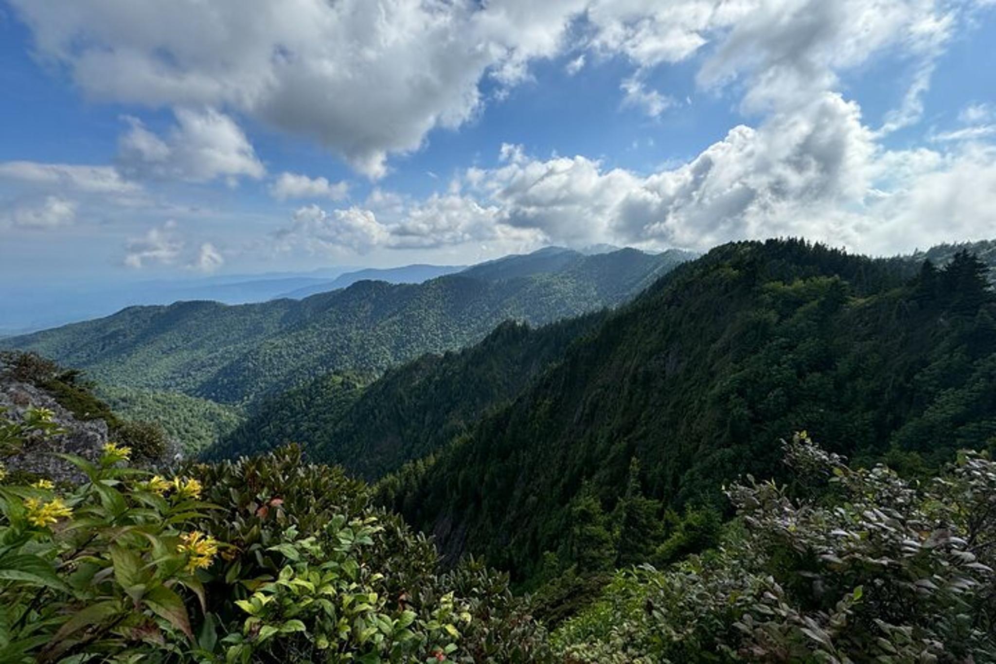 Smokies Custom Private Tour - Image 1