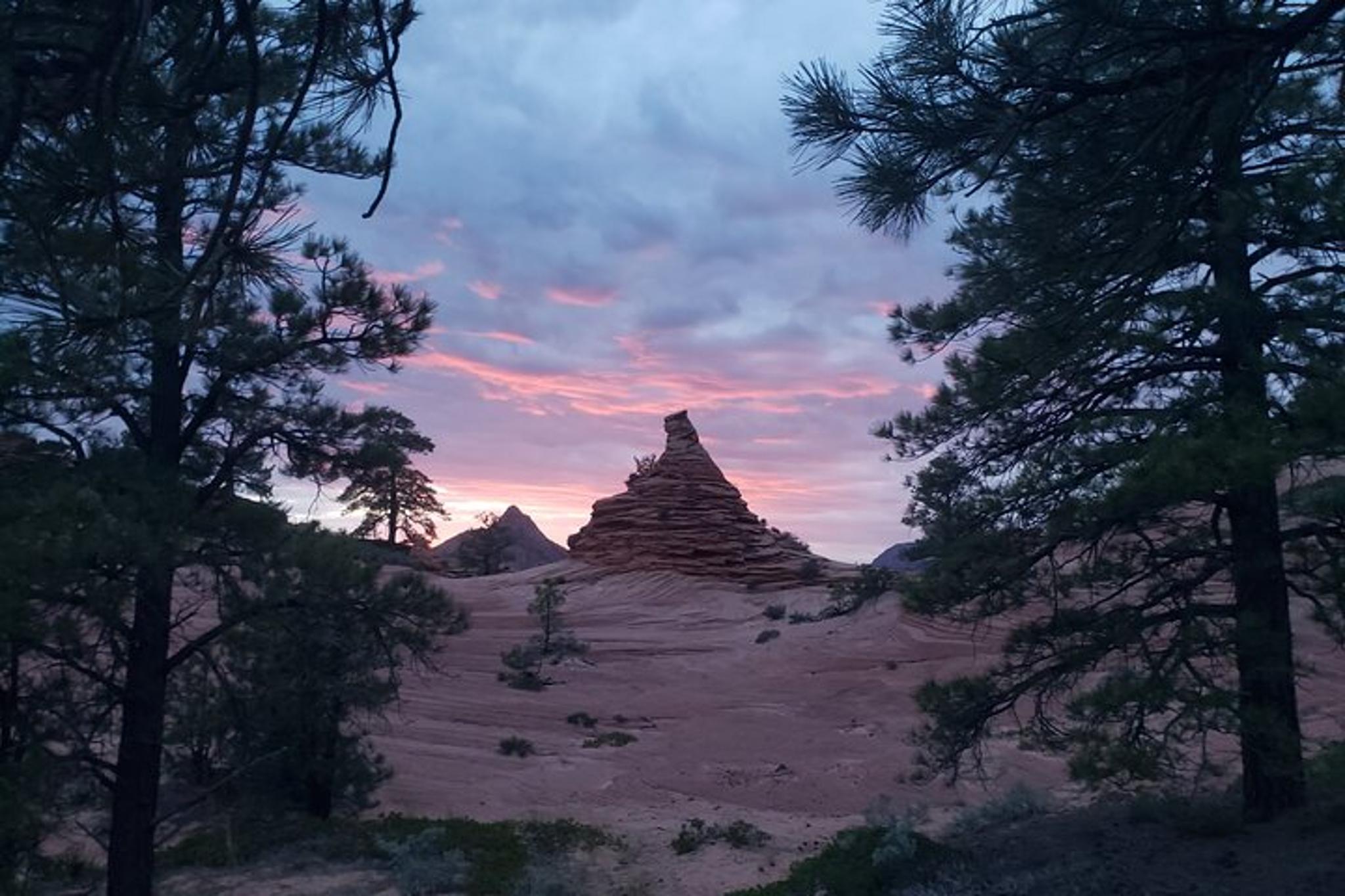 Zion National Park Kolob Terrace Sightseeing Tour - Image 5