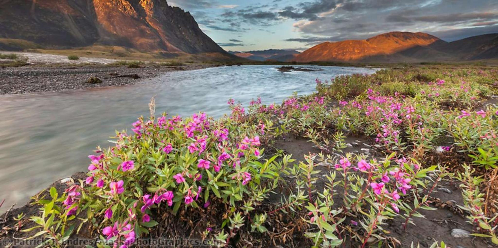 Anchorage Grand Alaska Highlights Tour 6 Days - Image 1