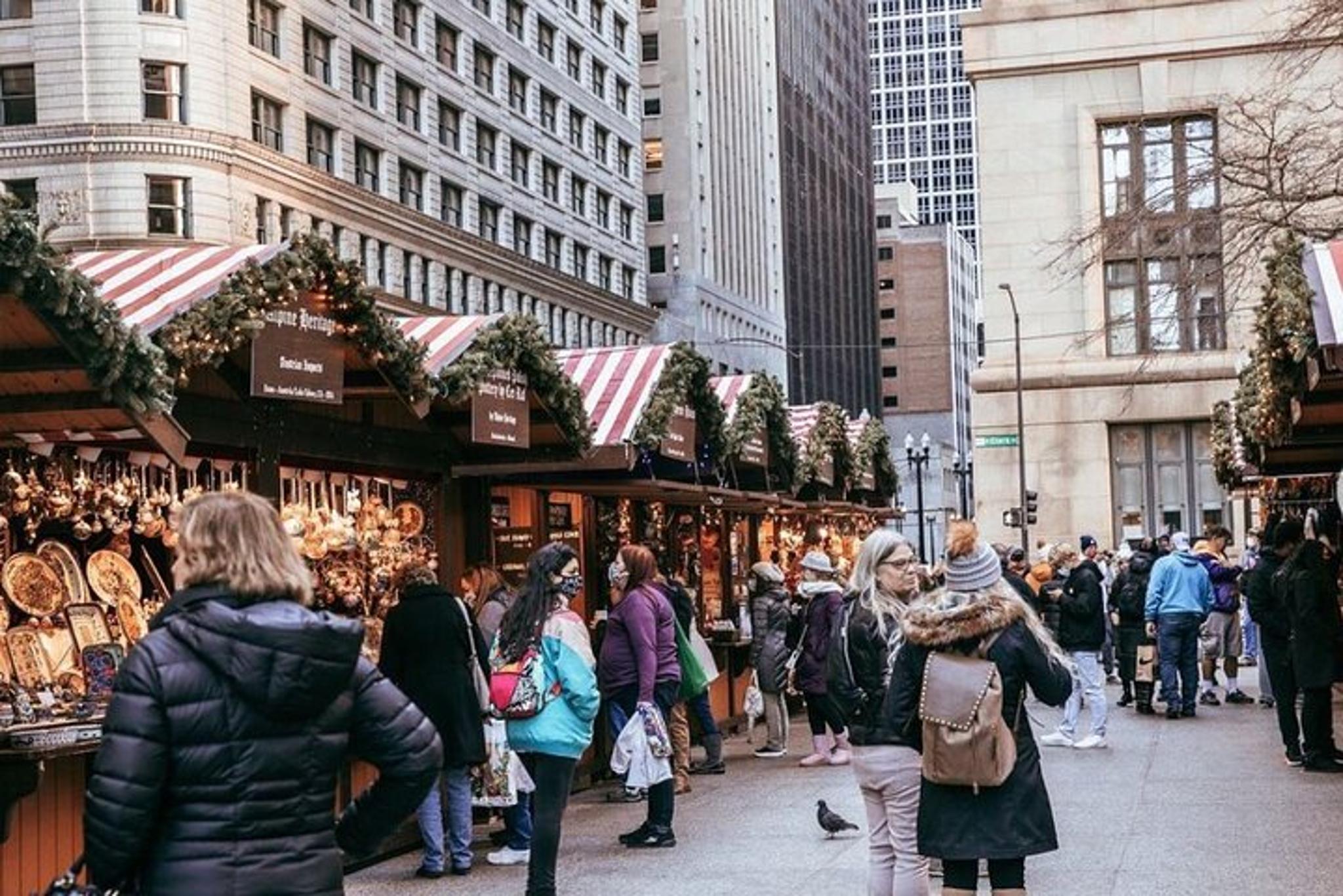 Chicago Holiday City Tour - Image 3
