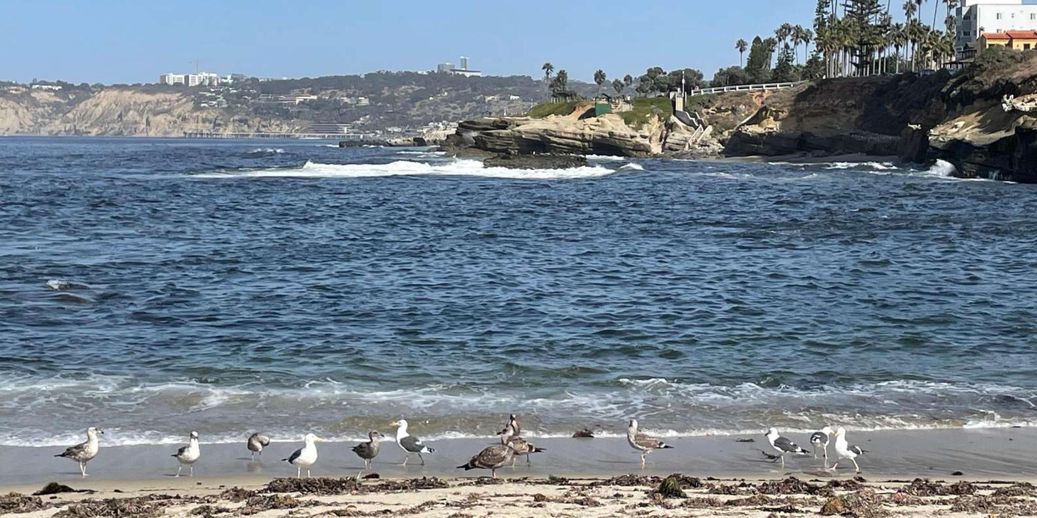 San Diego Private Tour in a Lexus ES300H - Image 6