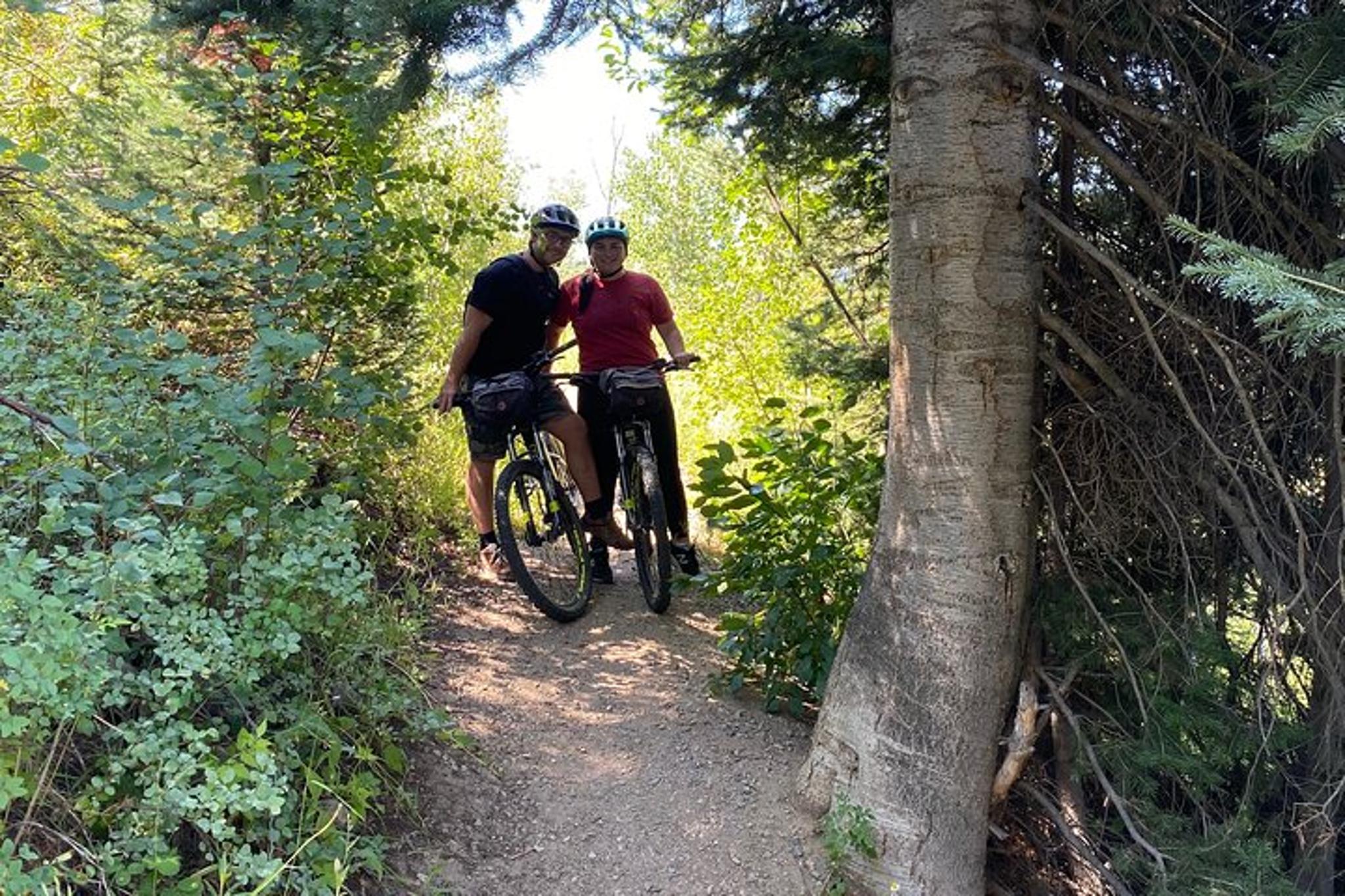 Steamboat Springs Ebike Tour - Image 3