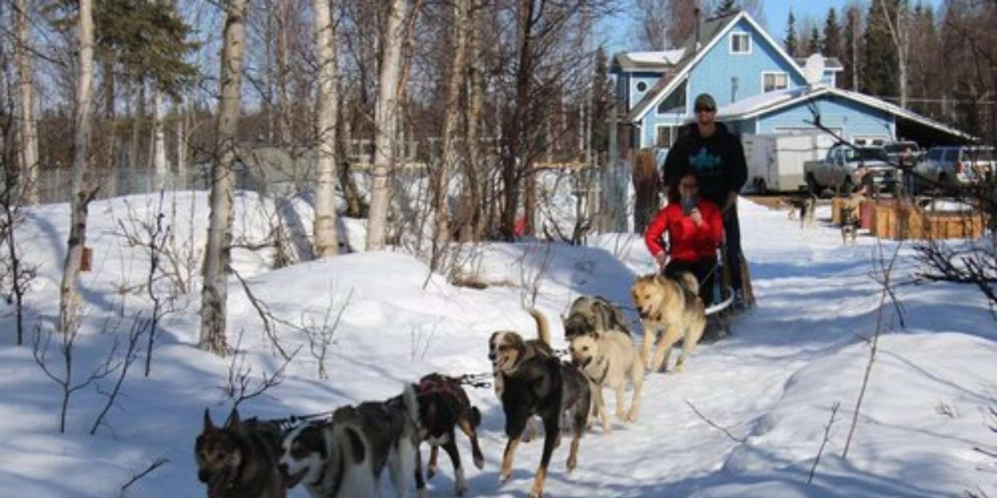 Willow Dog Sledding Adventure - Image 5
