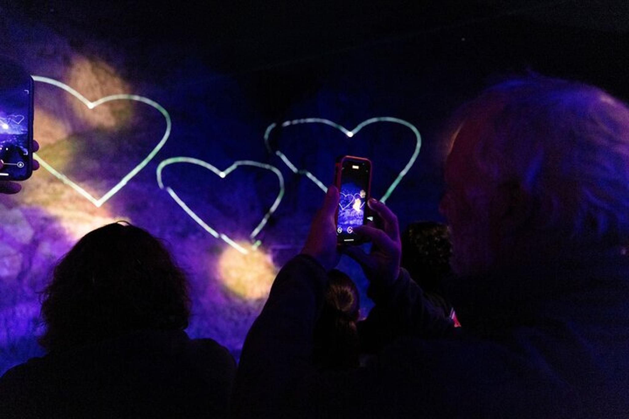 Royal Gorge Laser Light Show Train - Image 4
