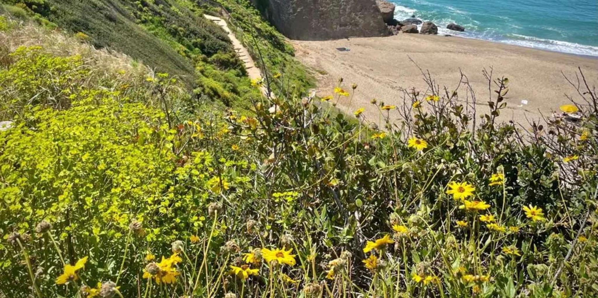 Malibu Climbing Class at Point Dume 2 hr - Image 2